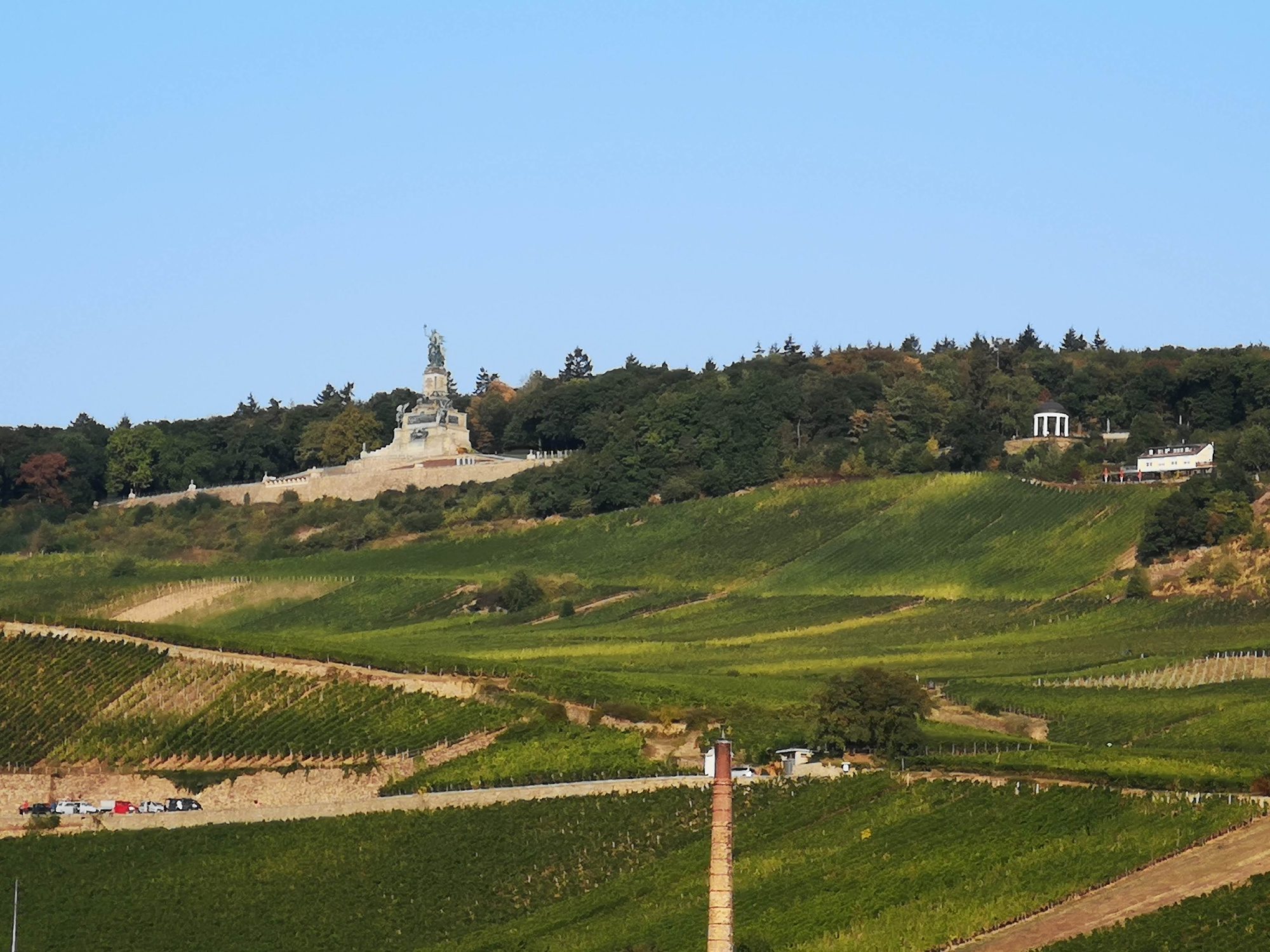 Colinas cubiertas de viñedos verdes coronadas por un imponente monumento histórico y bosque.