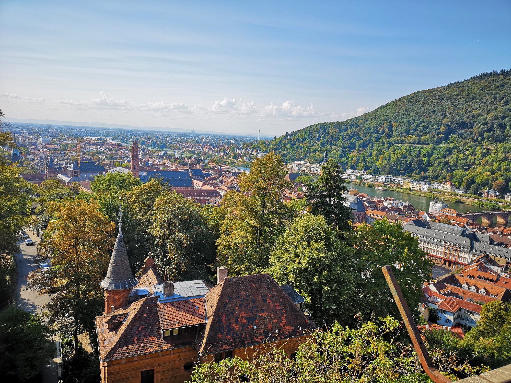 Vista panorámica del casco antiguo de Heidelberg, tejados rojos, río Neckar y colinas verdes.