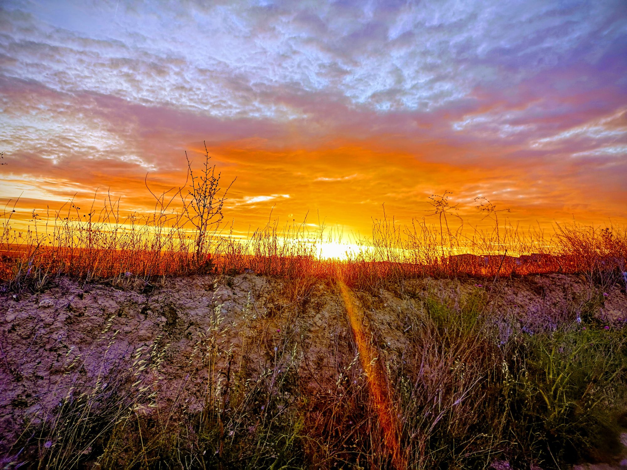 Atardecer dorado y cielo violeta sobre un montículo de tierra con vegetación silvestre.