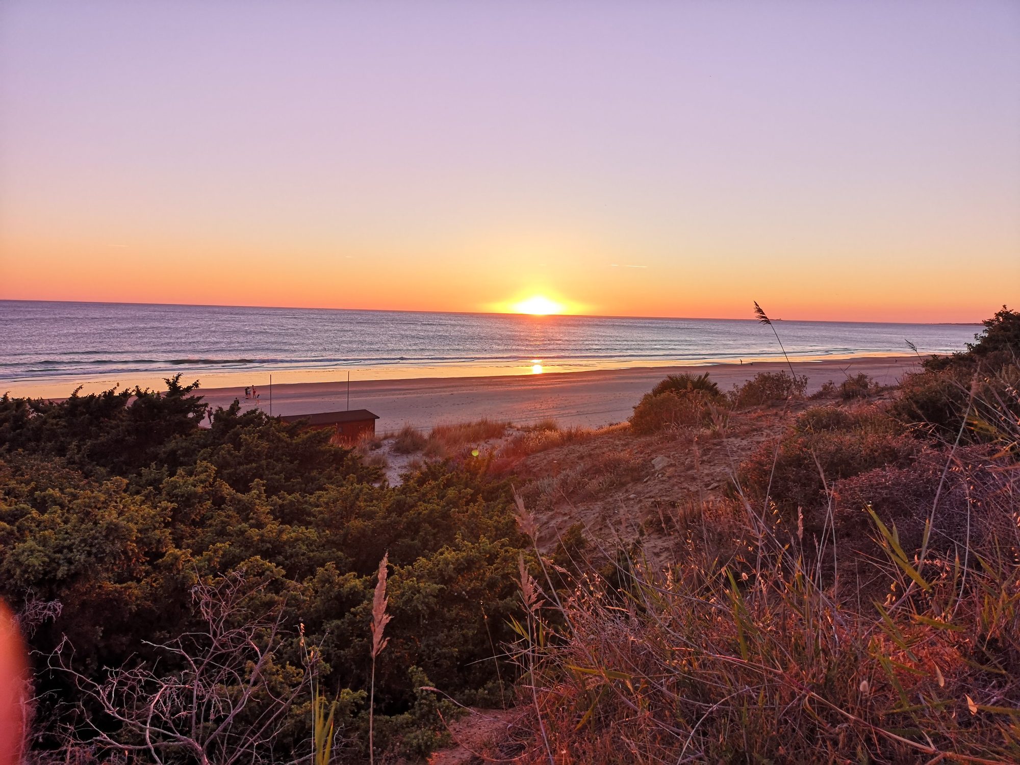 Puesta de sol sobre el mar y la playa vista desde dunas con vegetación.