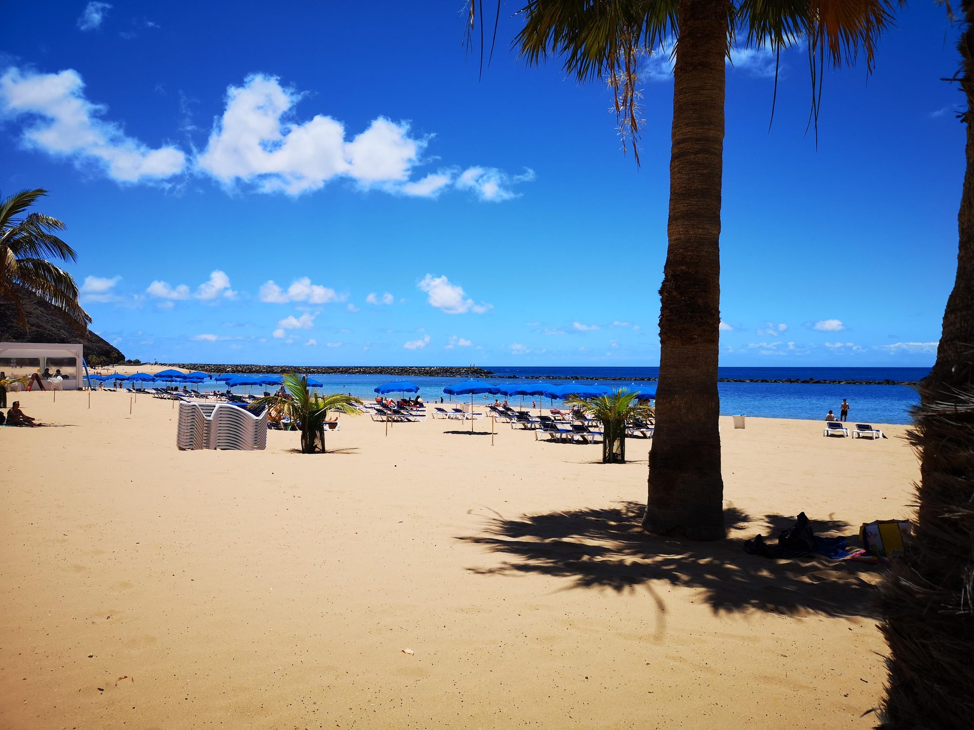 Playa de arena dorada con palmeras y sombrillas azules junto al mar en calma.