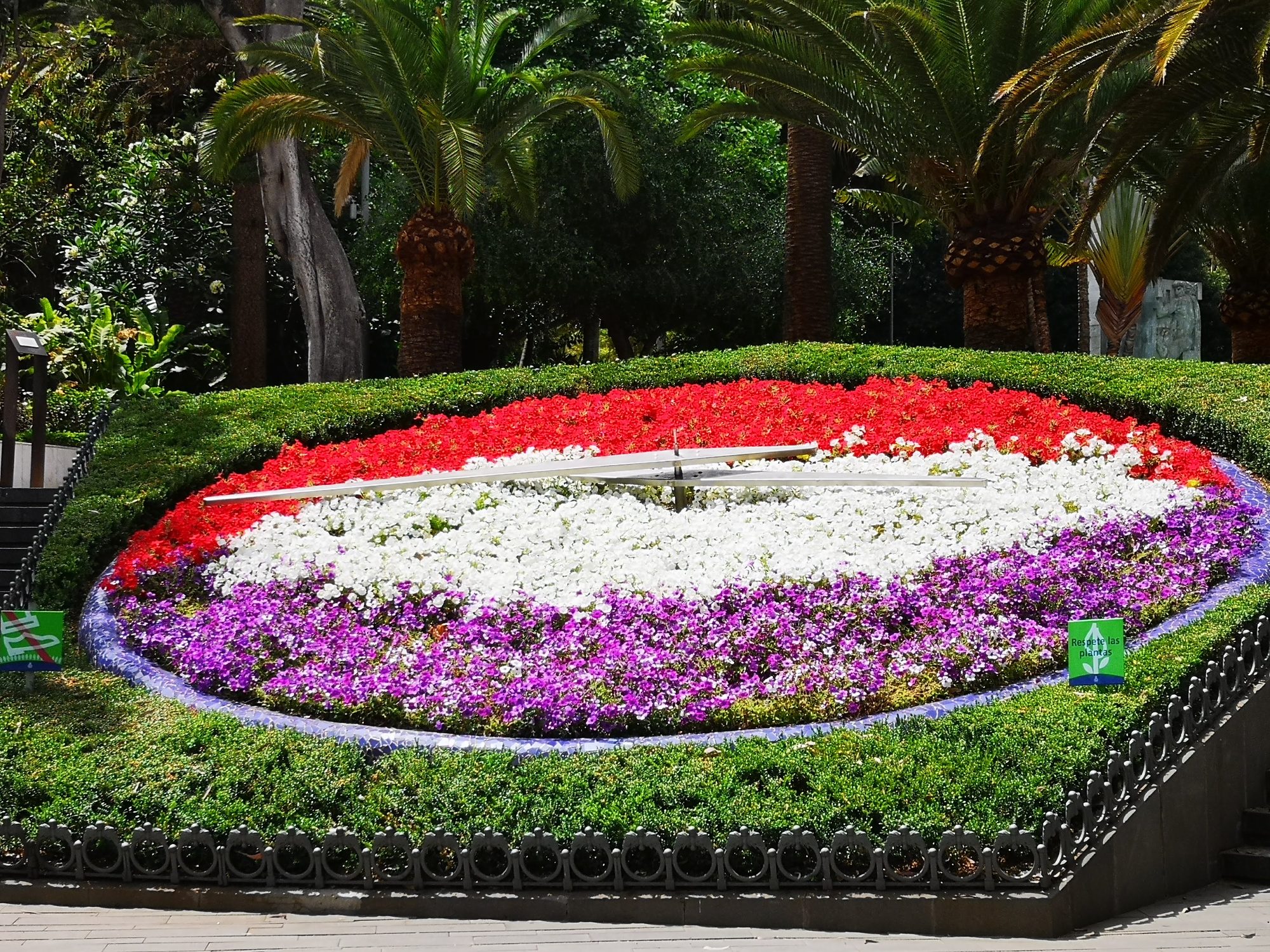 Gran reloj floral con flores rojas, blancas y moradas rodeado de palmeras.