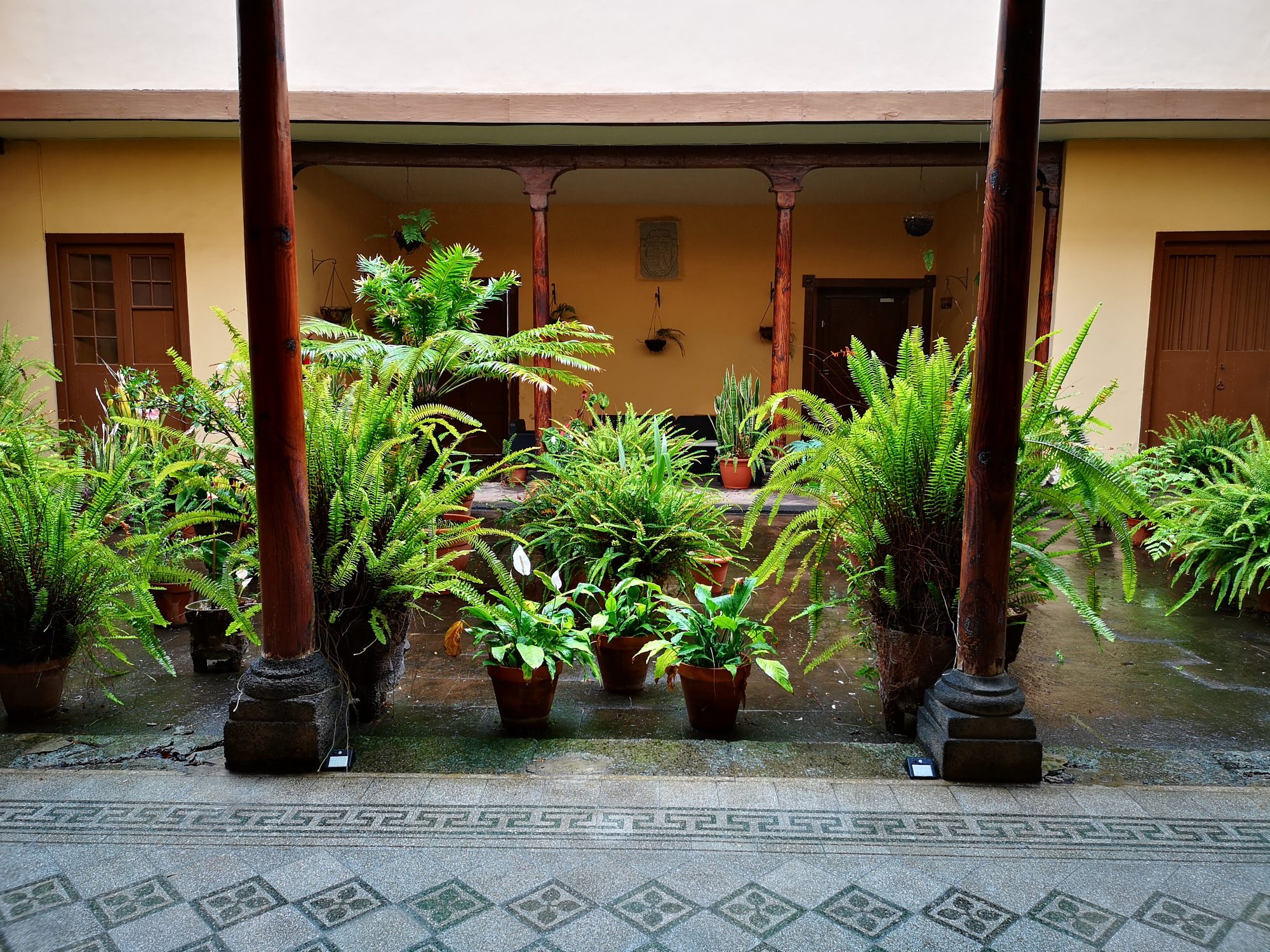 Patio interior canario con columnas de madera y abundantes macetas con plantas verdes.