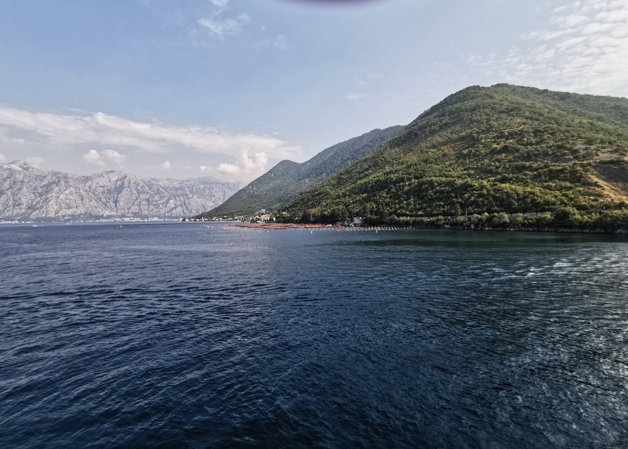 Vista de la bahía de Kotor con montañas verdes y agua azul profundo en Lepetane.