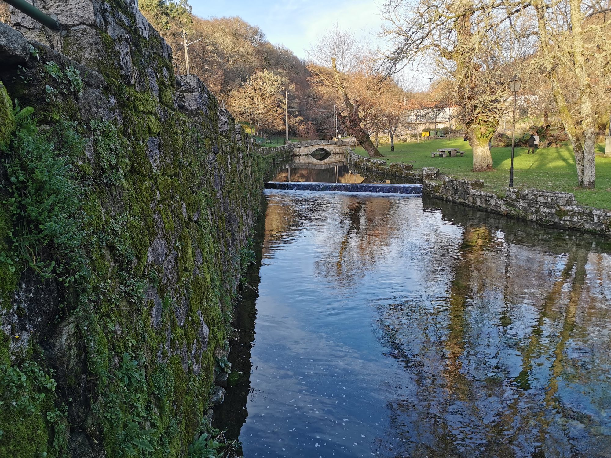 Canal de aguas tranquilas flanqueado por un muro de piedra con musgo y árboles.