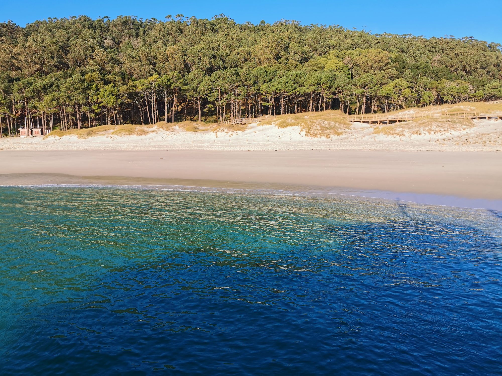 Playa de arena blanca y aguas cristalinas junto a un frondoso bosque de pinos.