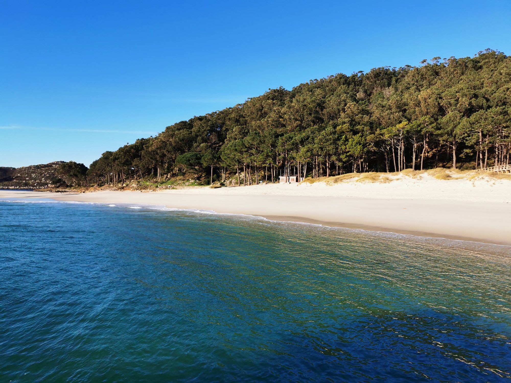 Playa de arena blanca y aguas cristalinas bordeada por un frondoso bosque de pinos.