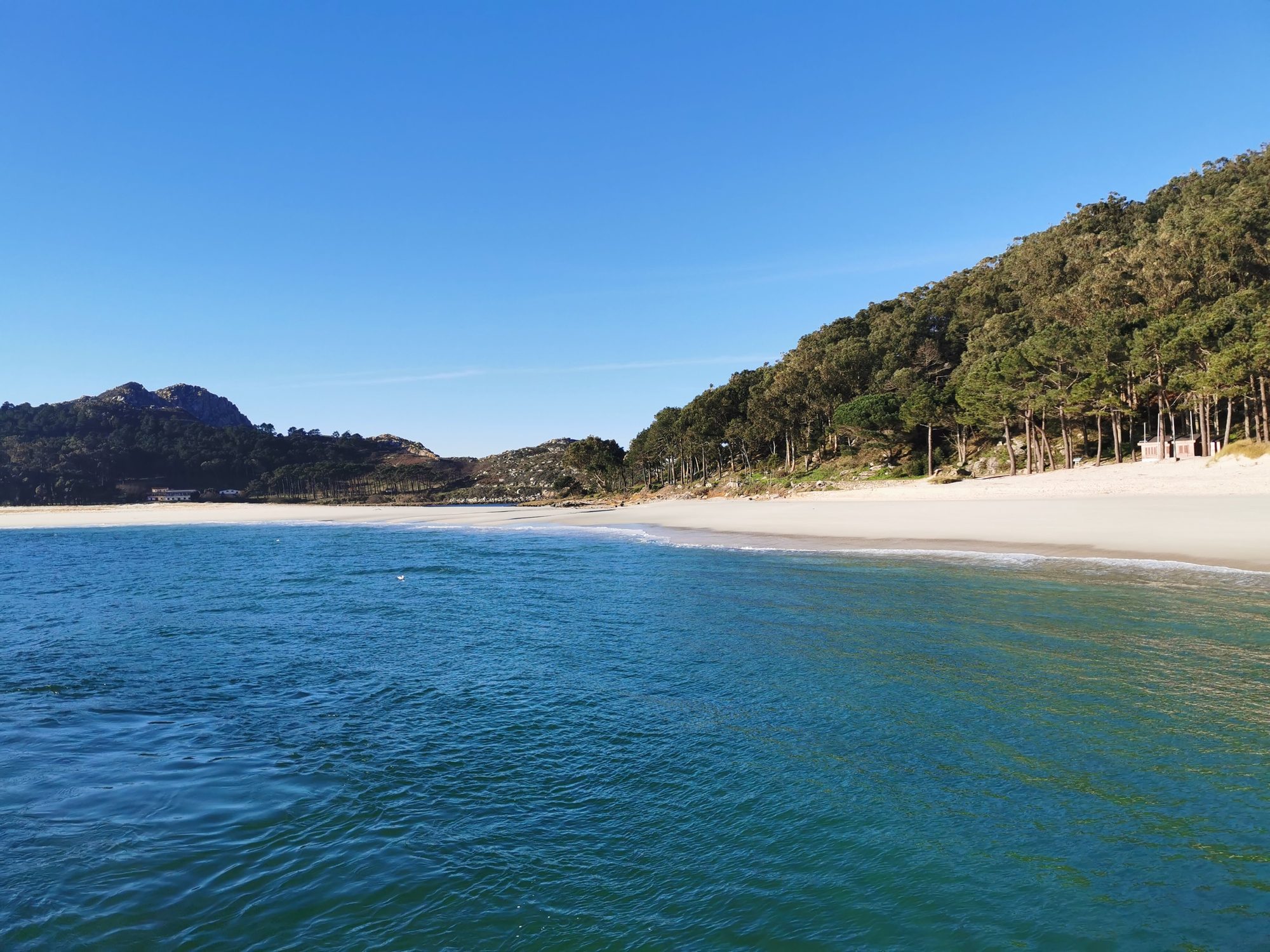 Playa de arena blanca y aguas turquesas rodeada de colinas verdes y bosque de pinos.
