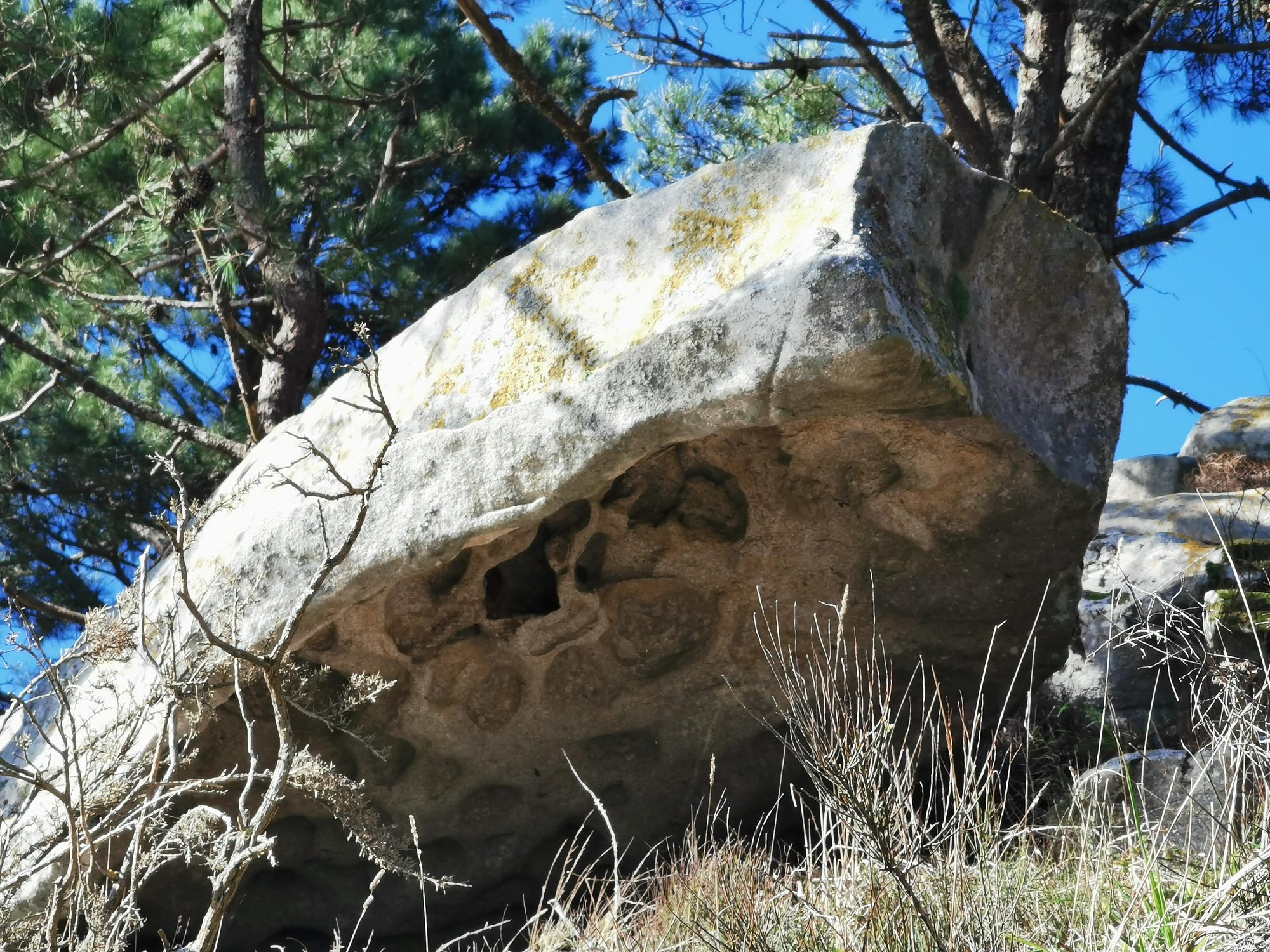Gran formación rocosa de granito erosionada bajo pinos en un monte gallego.