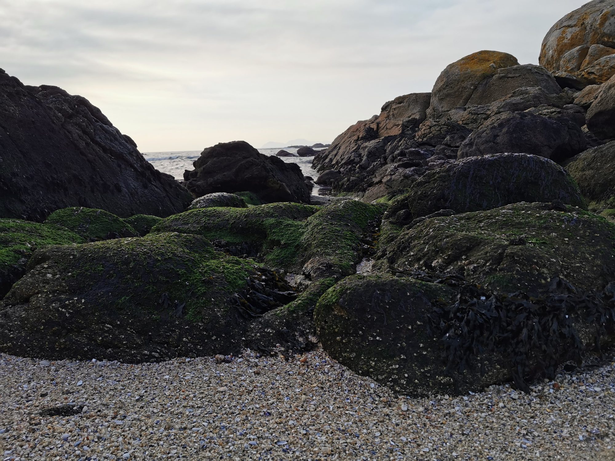 Rocas oscuras cubiertas de algas y arena con conchas frente al mar Atlántico.