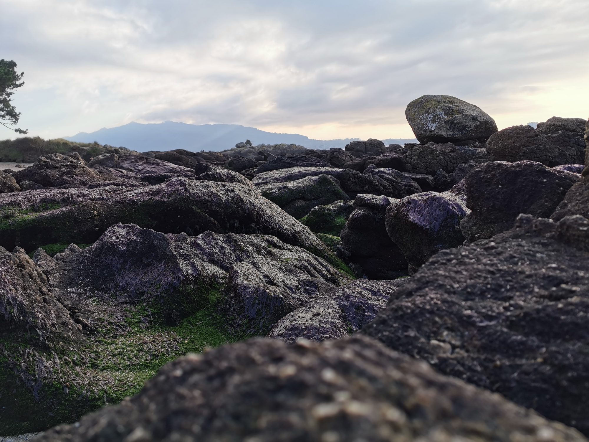 Rocas costeras oscuras con musgo frente a montañas bajo un cielo nublado.