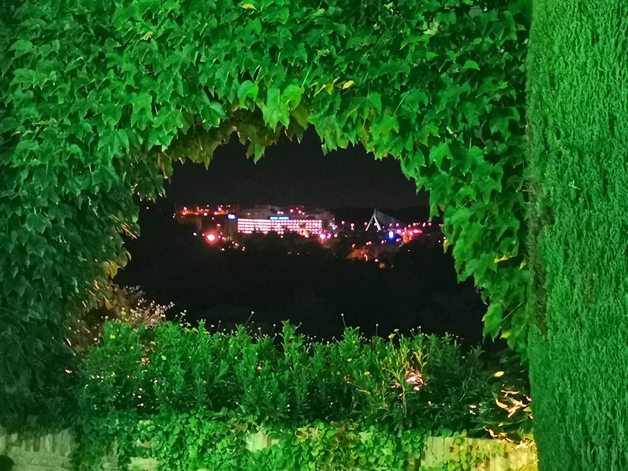 Vista nocturna de Toledo iluminada a través de un marco natural de hojas verdes.