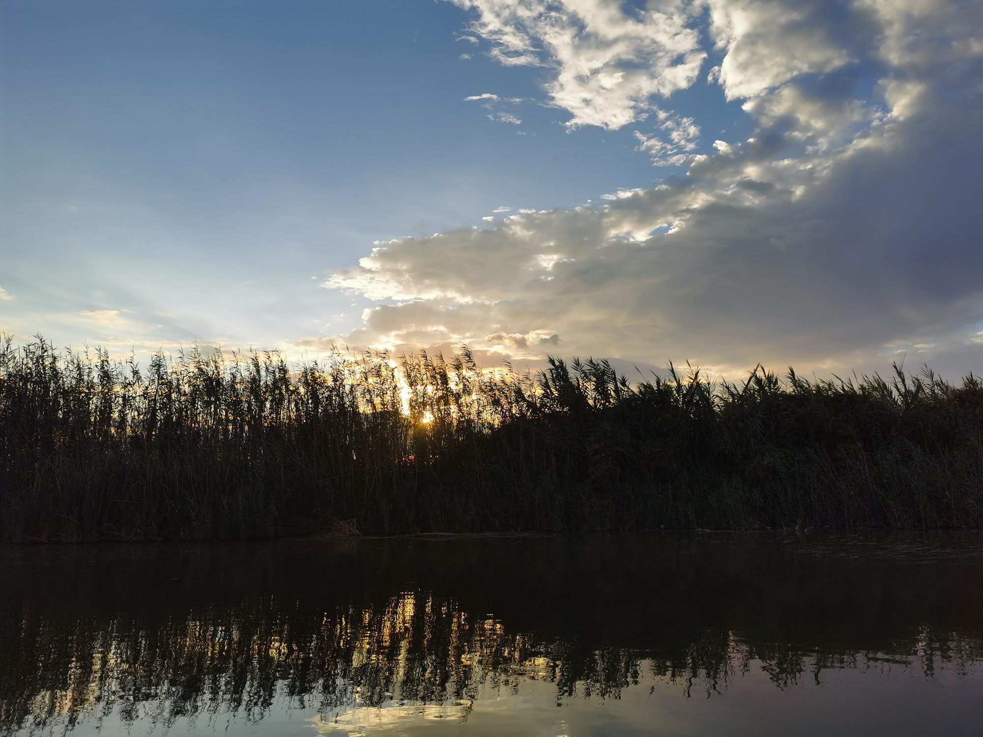 Puesta de sol entre cañas reflejada en el agua bajo un cielo nublado.
