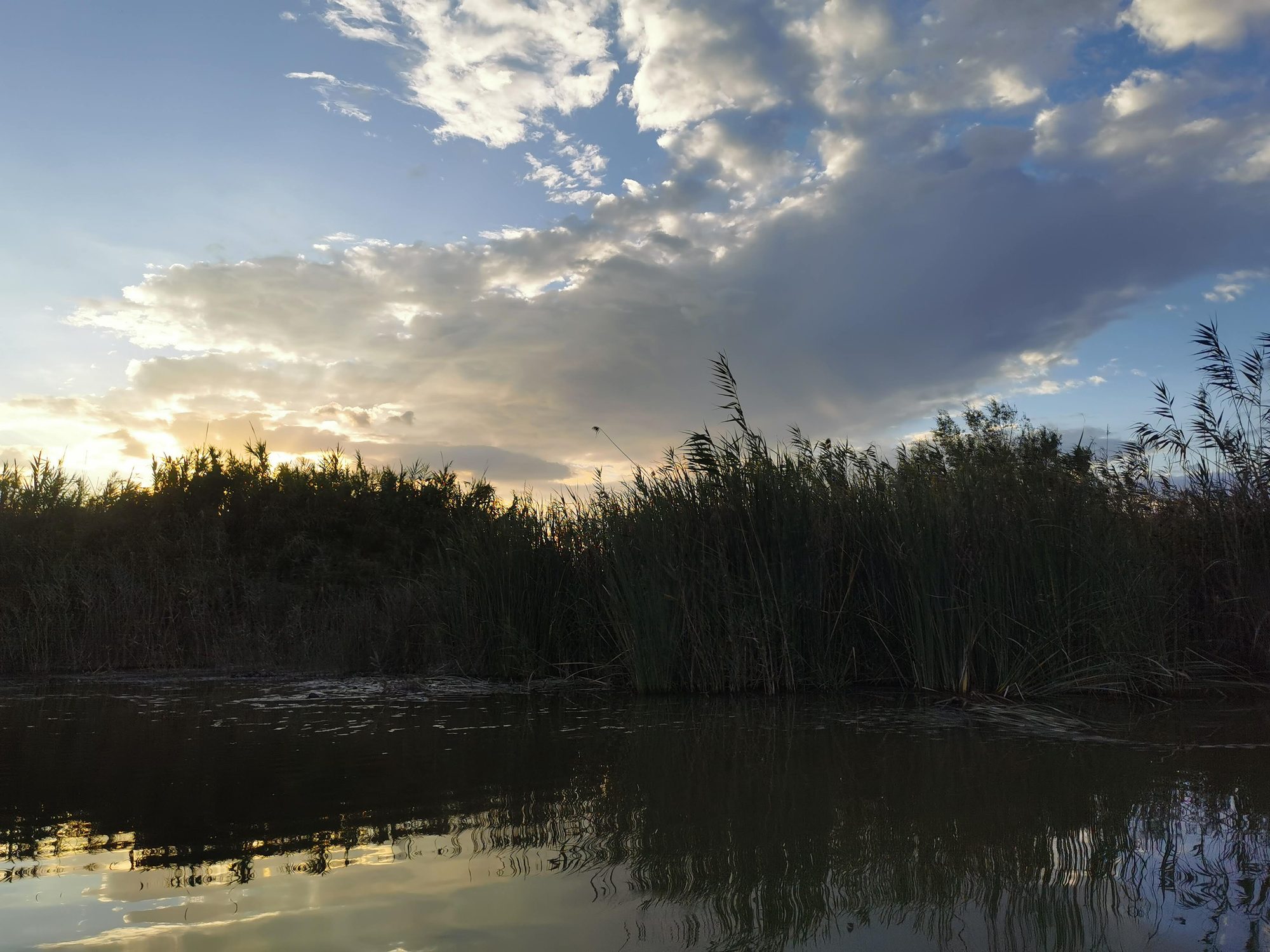 Atardecer entre cañas y nubes reflejadas sobre el agua tranquila de un humedal.