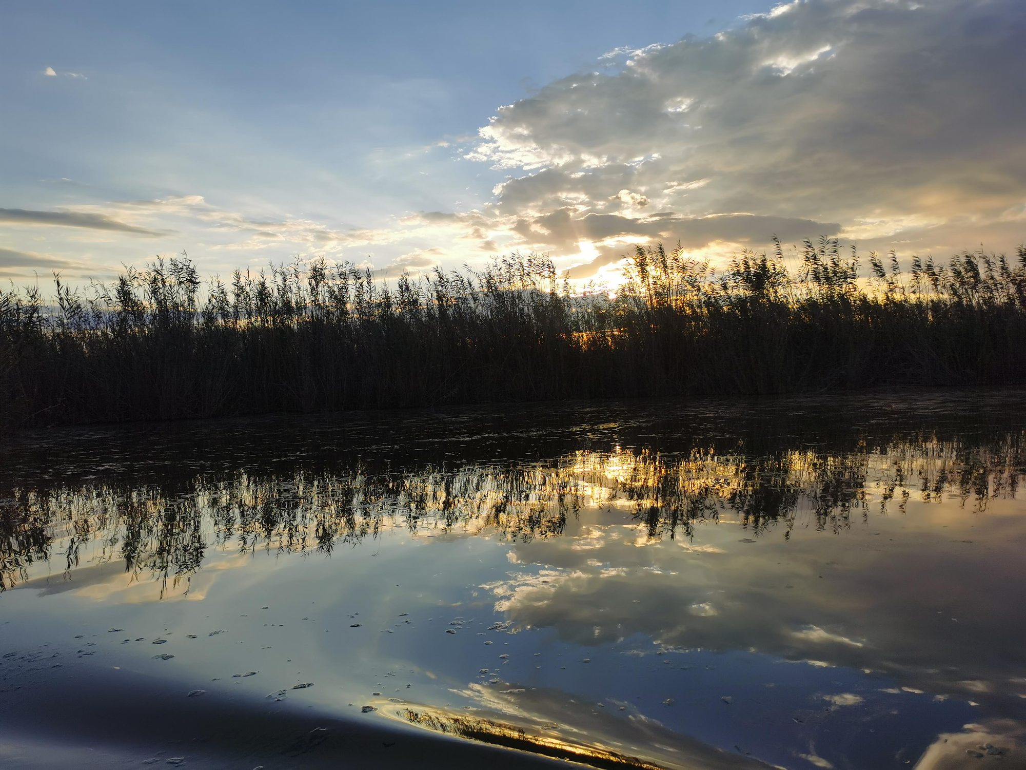Atardecer sobre aguas tranquilas reflejando cañizales y nubes doradas en un humedal.