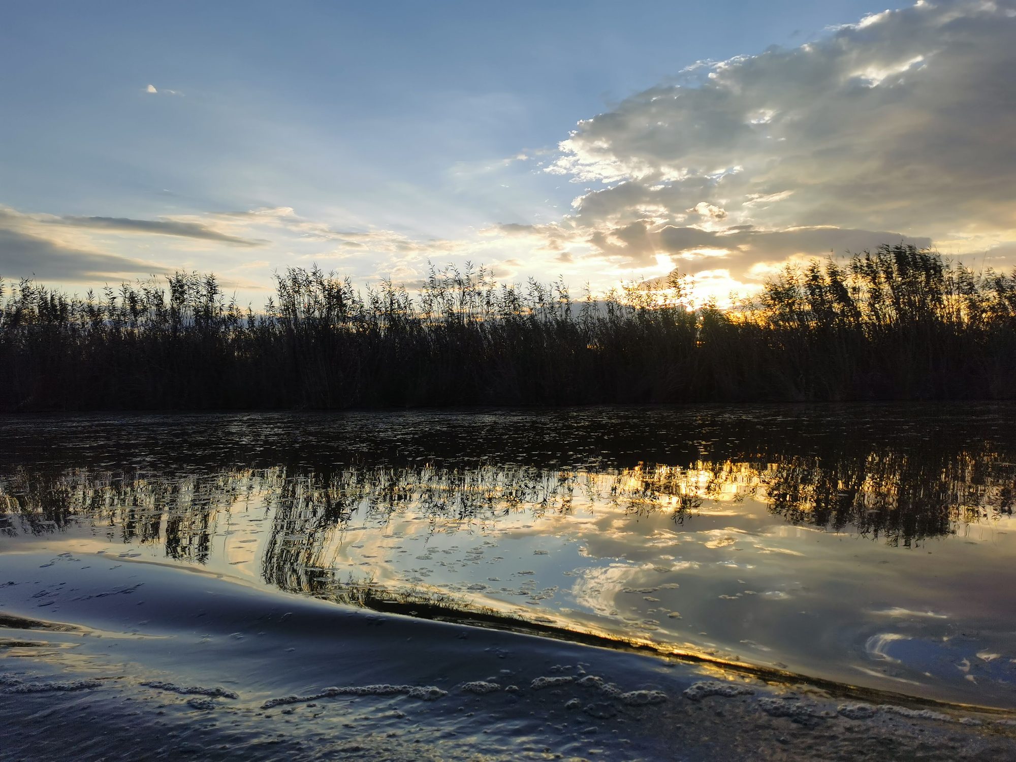 Atardecer reflejado en el agua de un humedal con cañizo en la orilla.