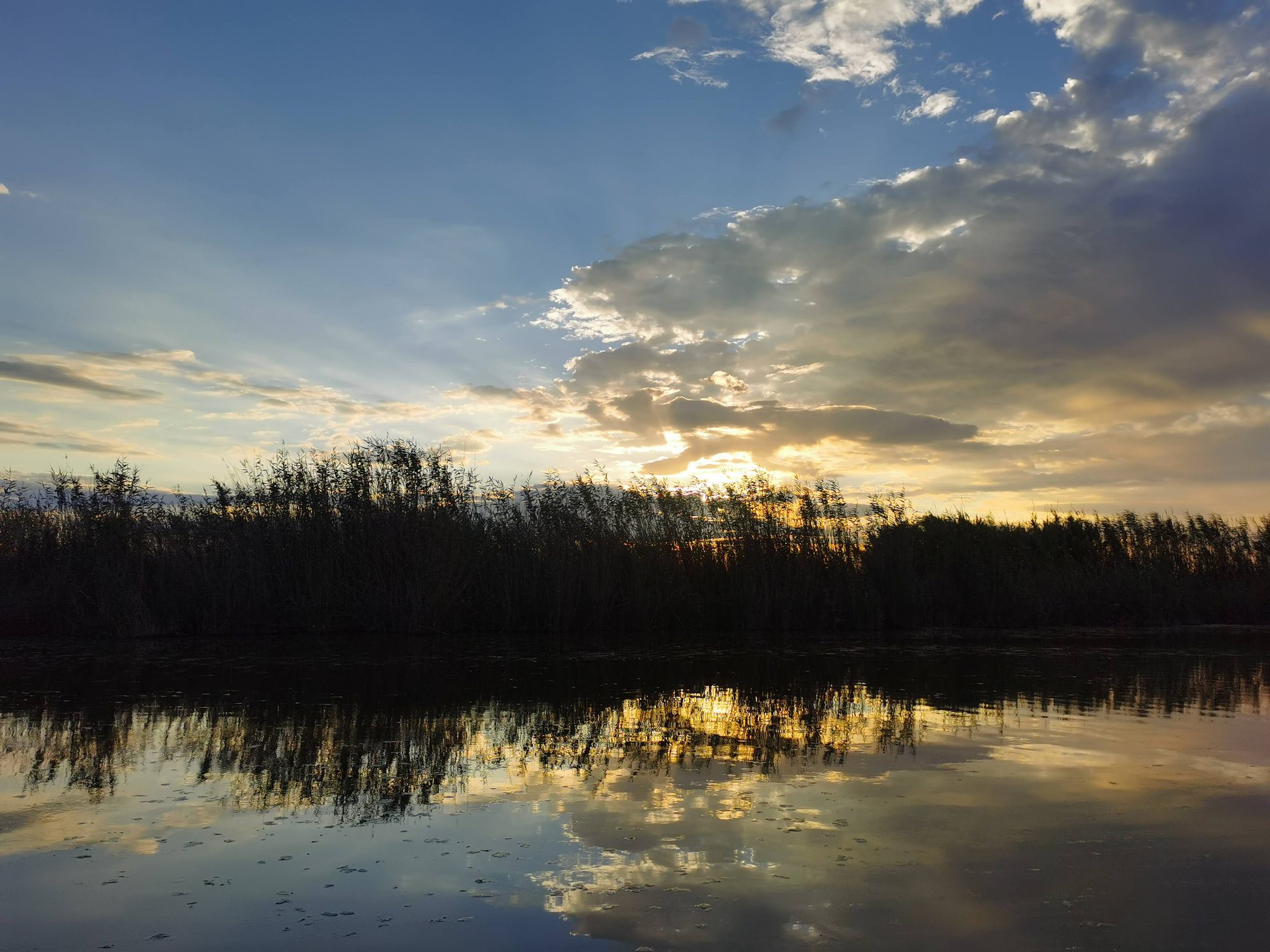 Atardecer sobre aguas tranquilas con cañizales silueteados y reflejos dorados en el cielo.
