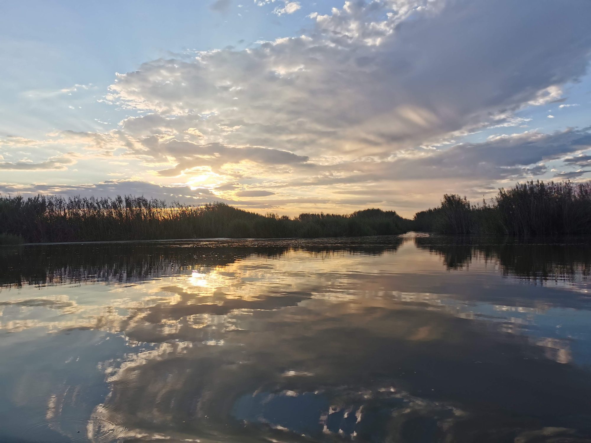 Atardecer sobre las aguas tranquilas de la Albufera de Valencia con nubes reflejadas.
