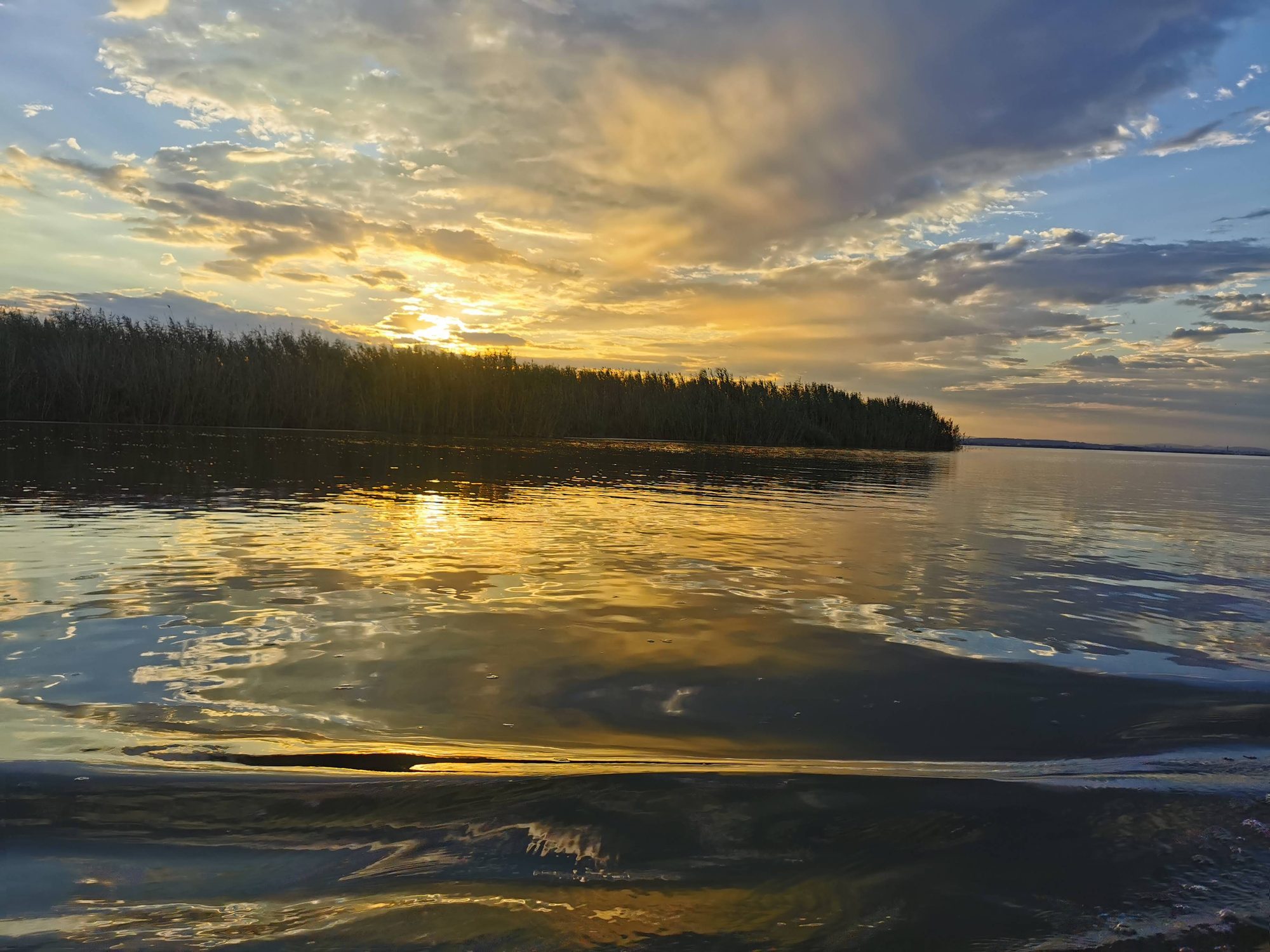 Atardecer dorado reflejado en las aguas de una laguna con cañizal al fondo.