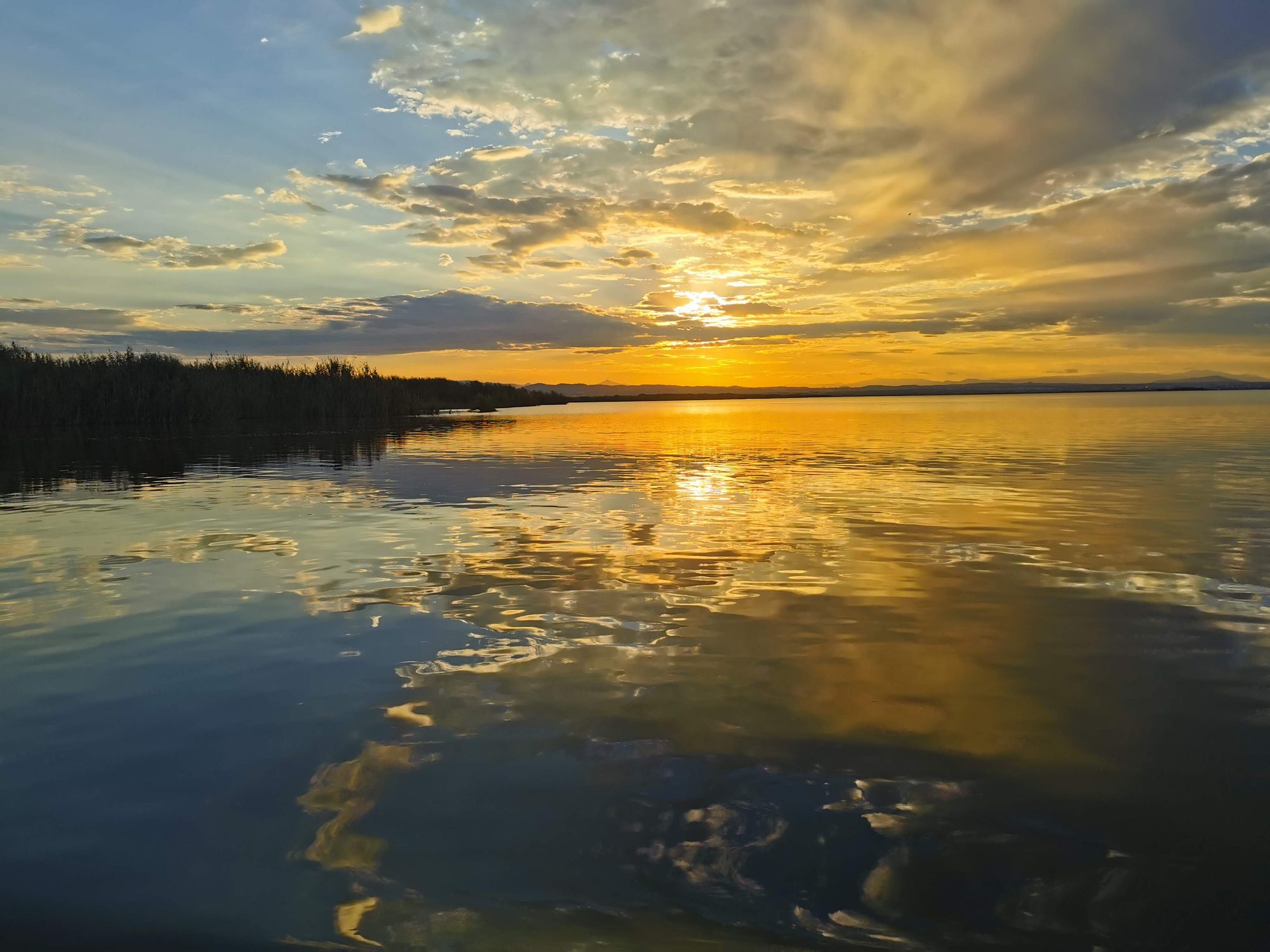 Atardecer dorado sobre aguas tranquilas con reflejos de nubes y vegetación en la orilla.