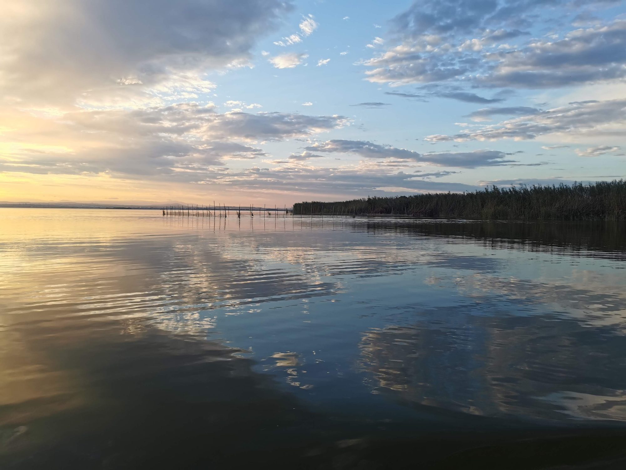 Cielo nublado y atardecer reflejados en el agua calmada de la Albufera en Valencia.