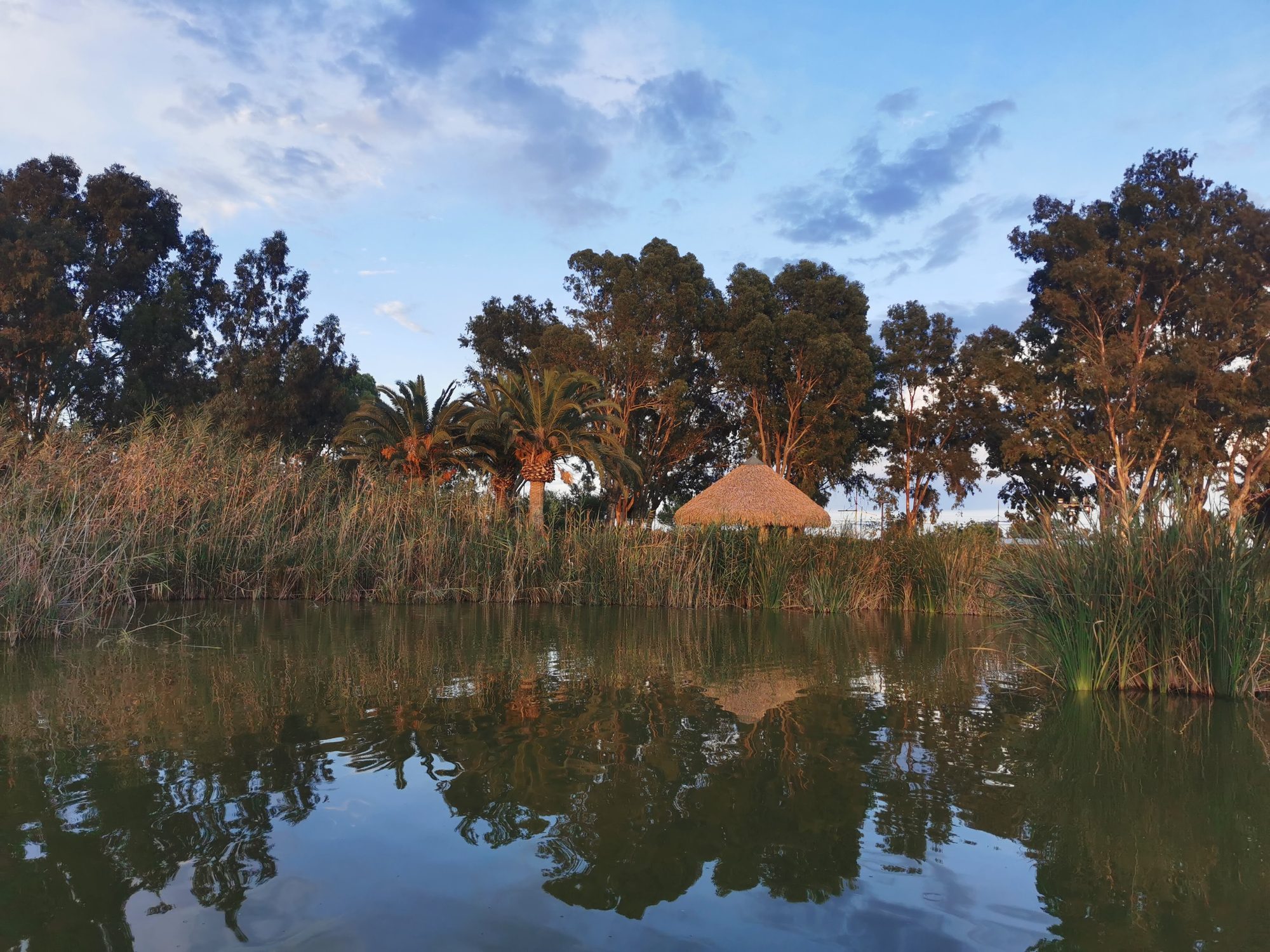 Laguna tranquila rodeada de vegetación, palmeras y una choza con techo de paja.
