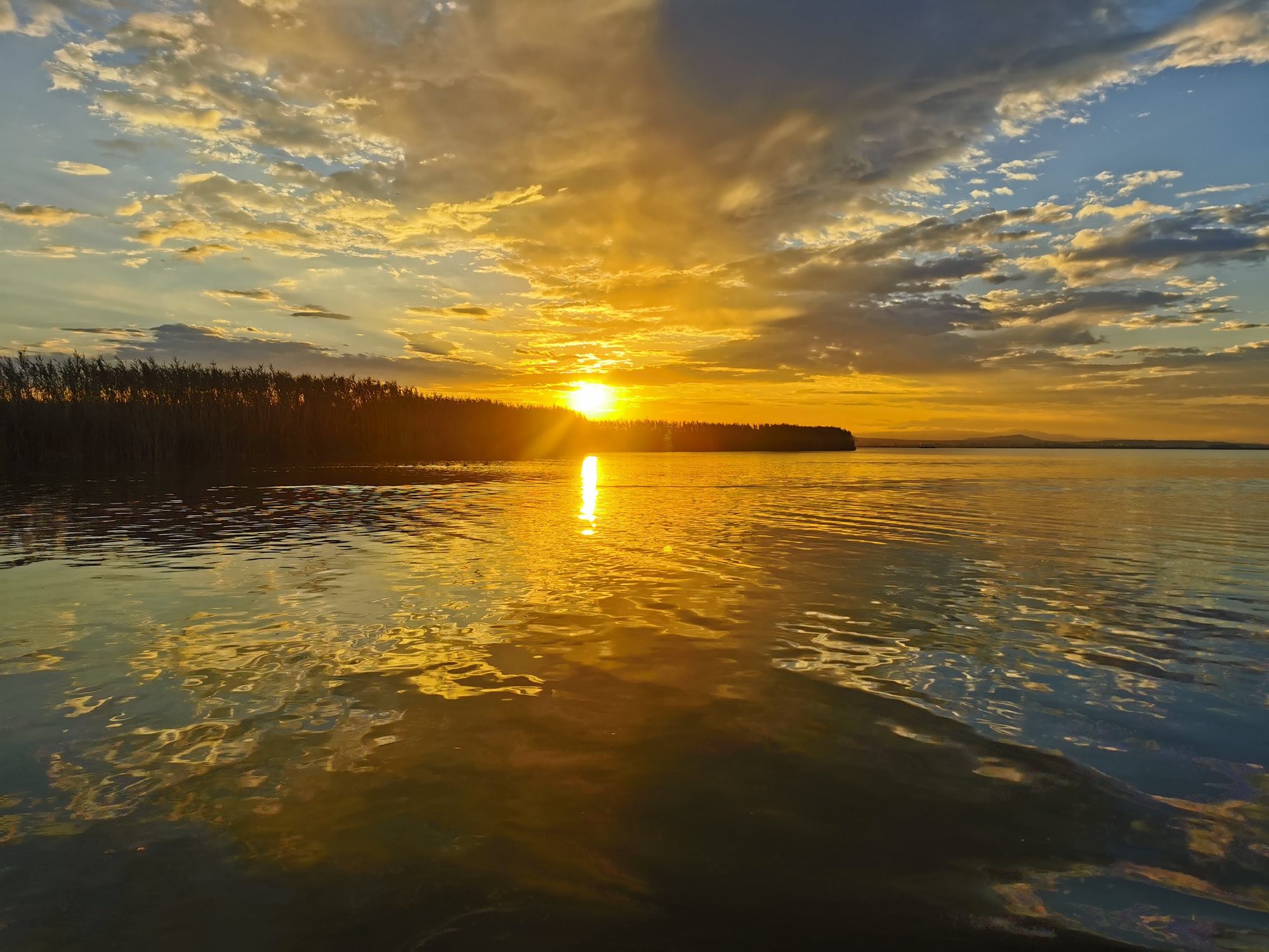Atardecer dorado reflejado en las aguas tranquilas de una laguna con cañizales.