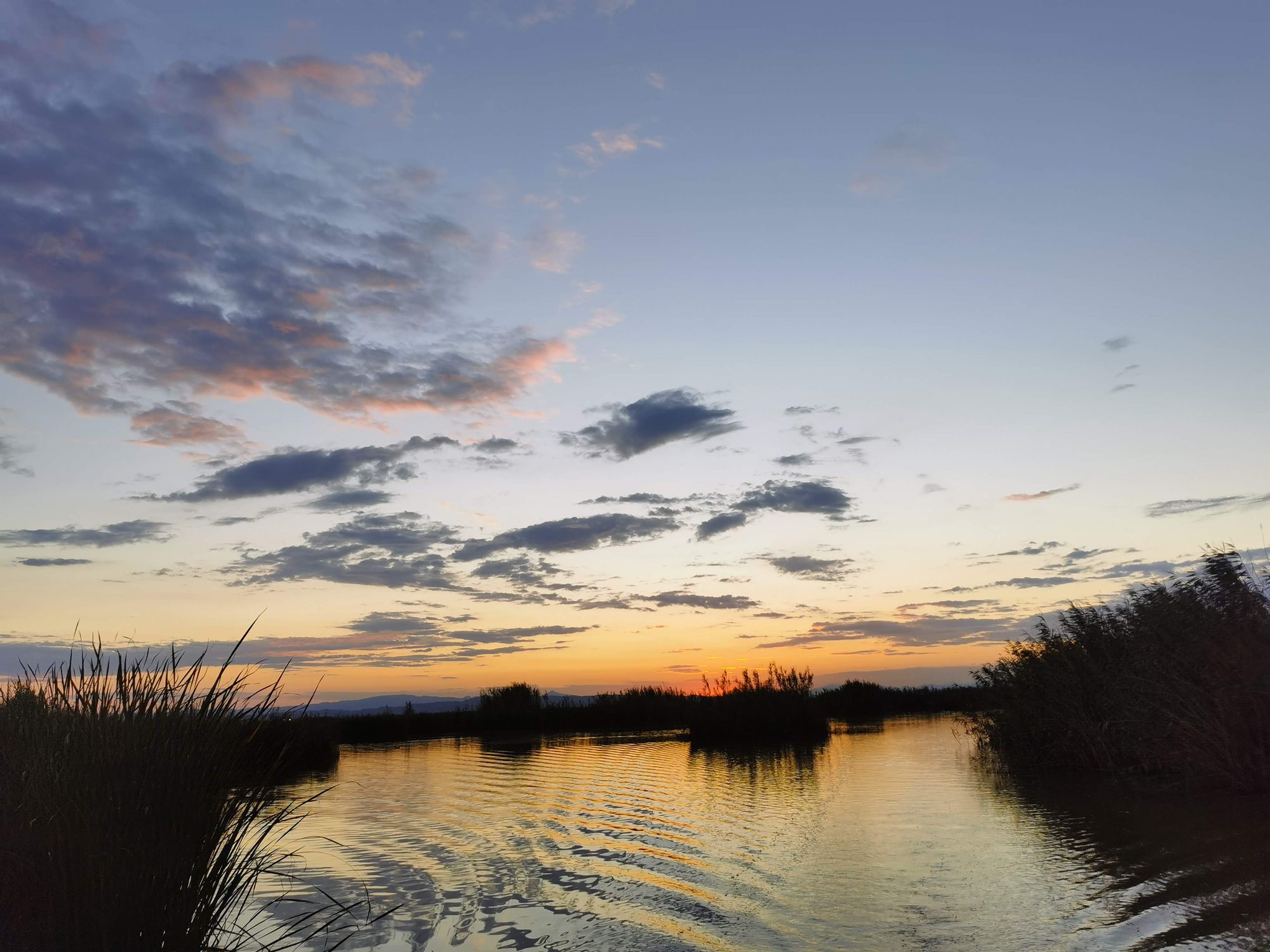 Atardecer dorado sobre aguas tranquilas rodeadas de cañas y vegetación en Valencia.