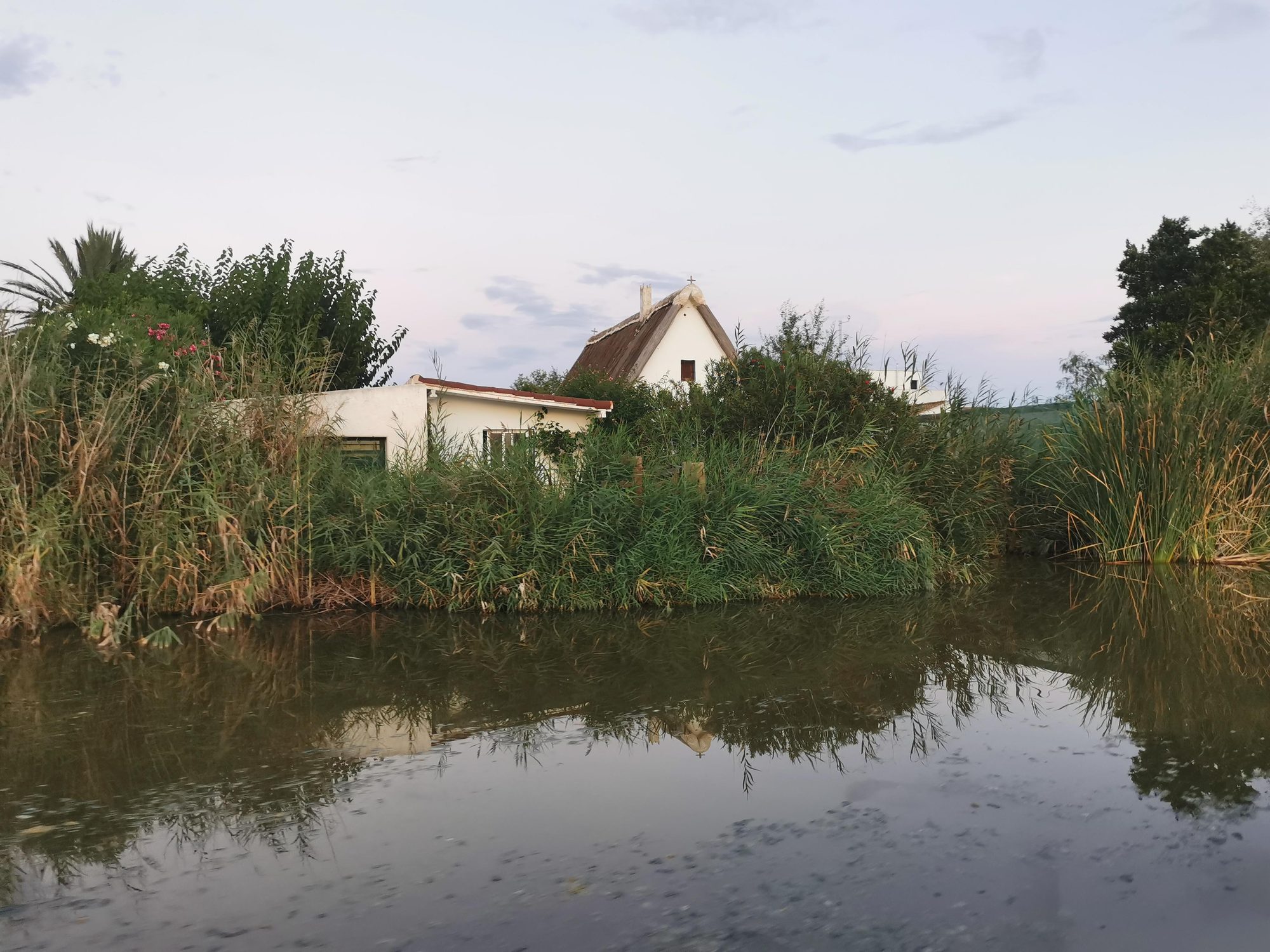 Barraca tradicional valenciana rodeada de cañizo junto a un canal de agua tranquila.