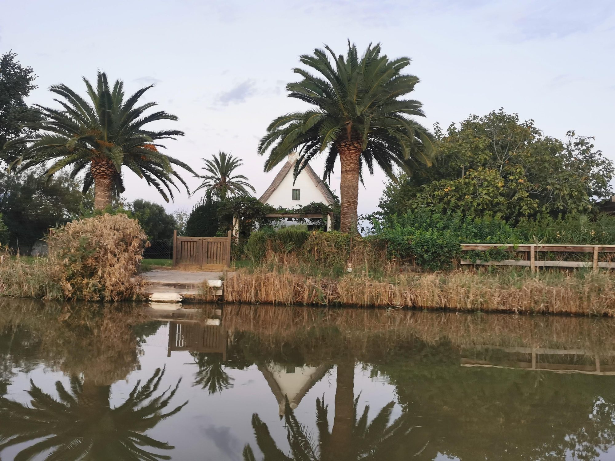 Barraca tradicional valenciana entre palmeras reflejada en las aguas tranquilas de un canal