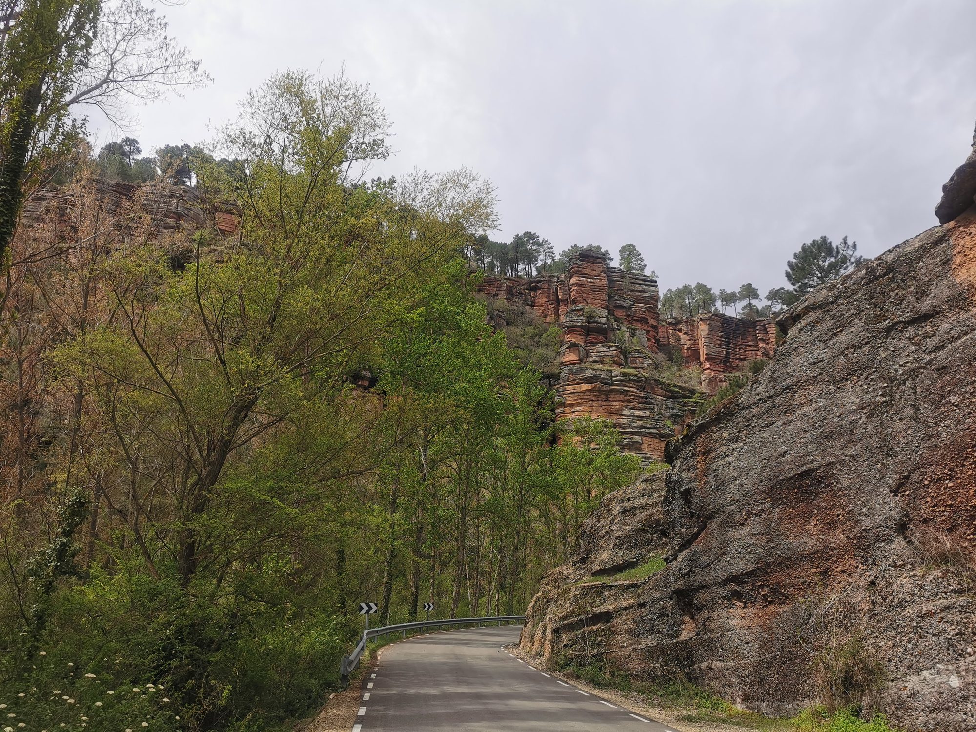 Carretera asfaltada con curvas entre frondosos árboles y altos riscos de roca rojiza.