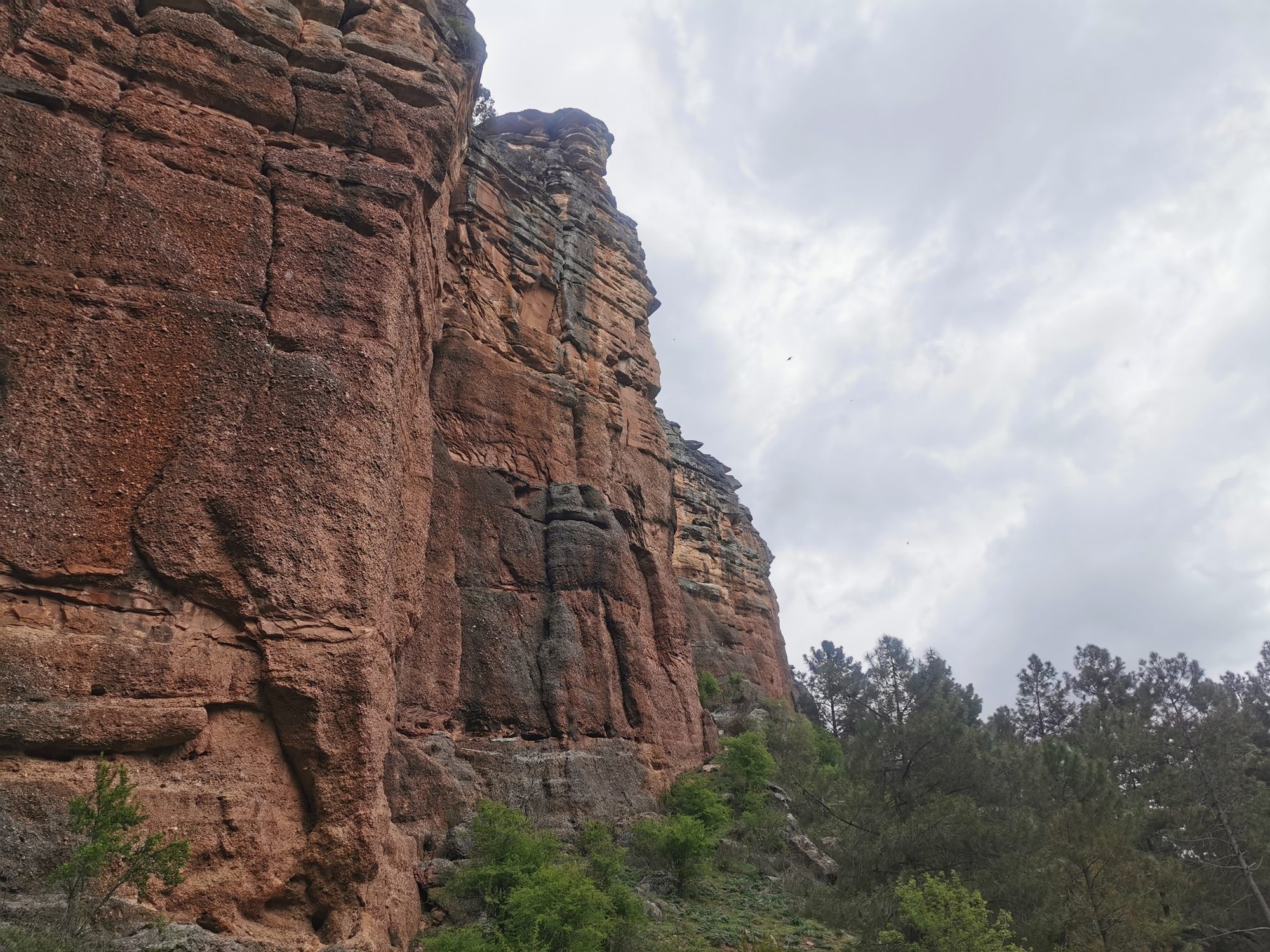 Grandes paredes de roca arenisca rojiza rodeadas de vegetación bajo un cielo nublado.