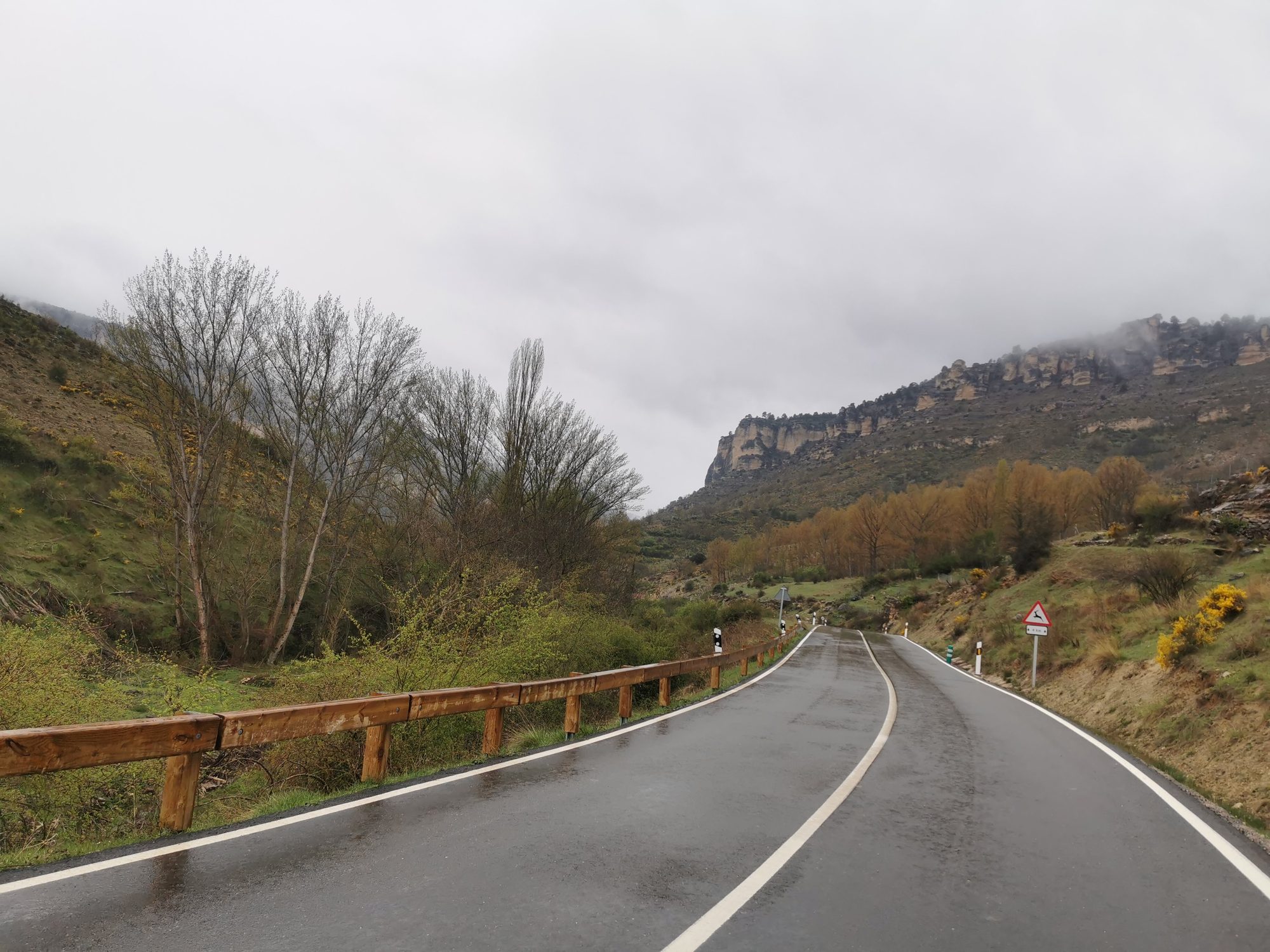Carretera asfaltada y húmeda rodeada de montañas y vegetación bajo un cielo nublado.