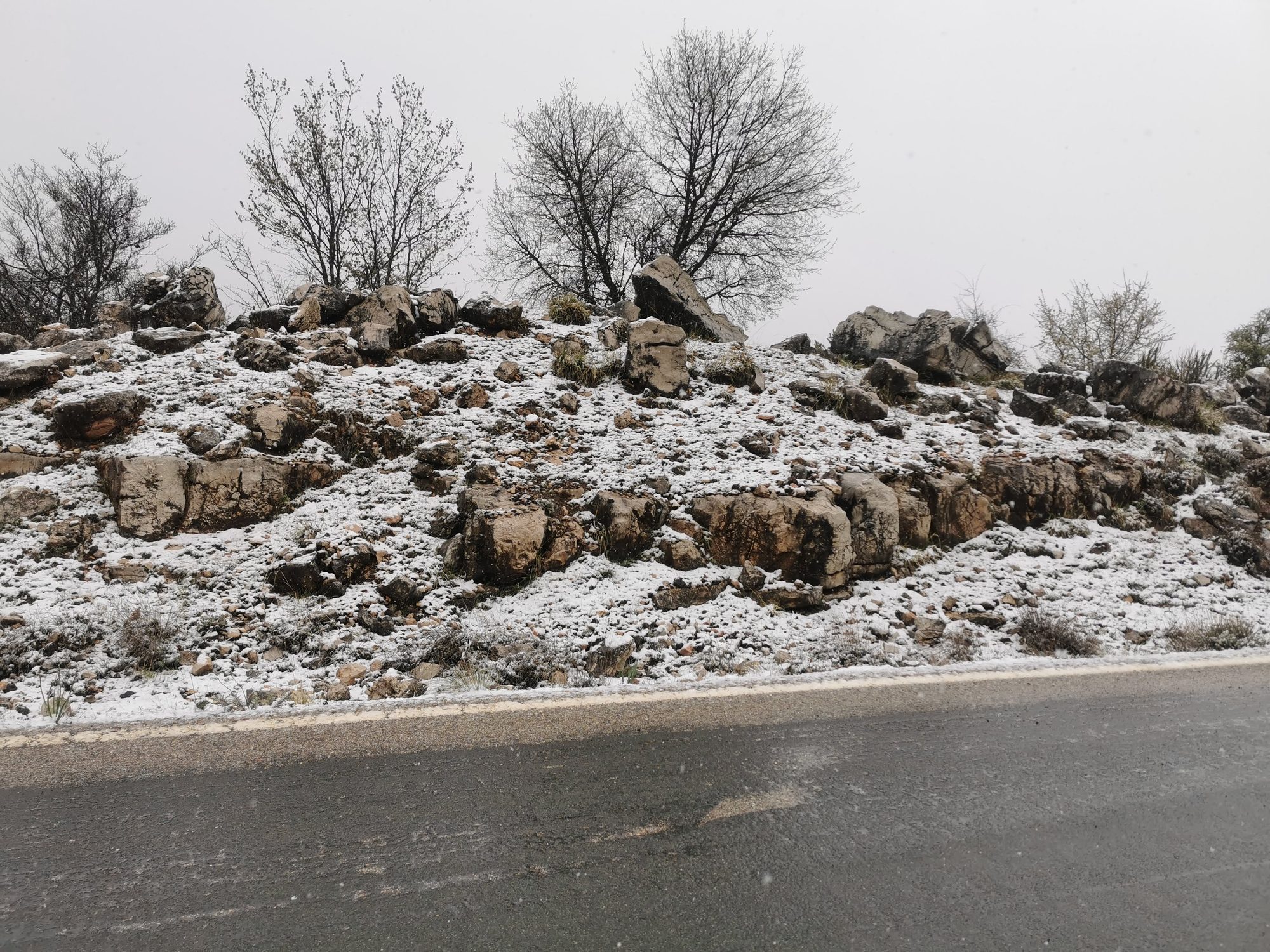 Ladera rocosa con una fina capa de nieve y árboles junto a una carretera.