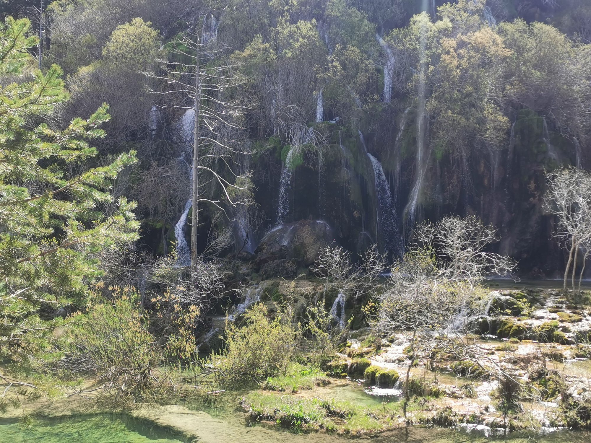 Cascadas naturales fluyendo entre rocas cubiertas de musgo y densa vegetación montañosa.