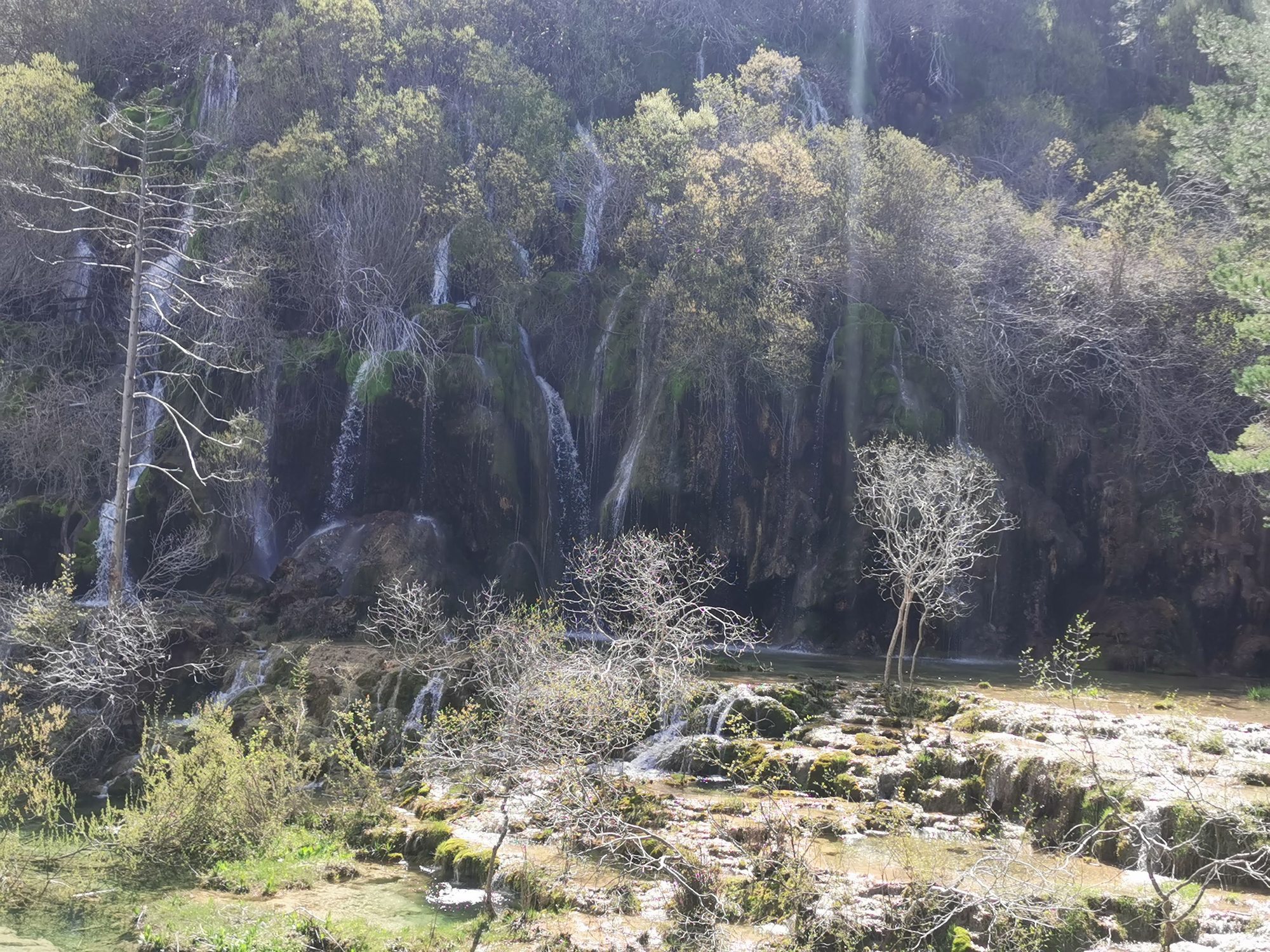 Cascadas entre rocas cubiertas de musgo y densa vegetación en un entorno natural.
