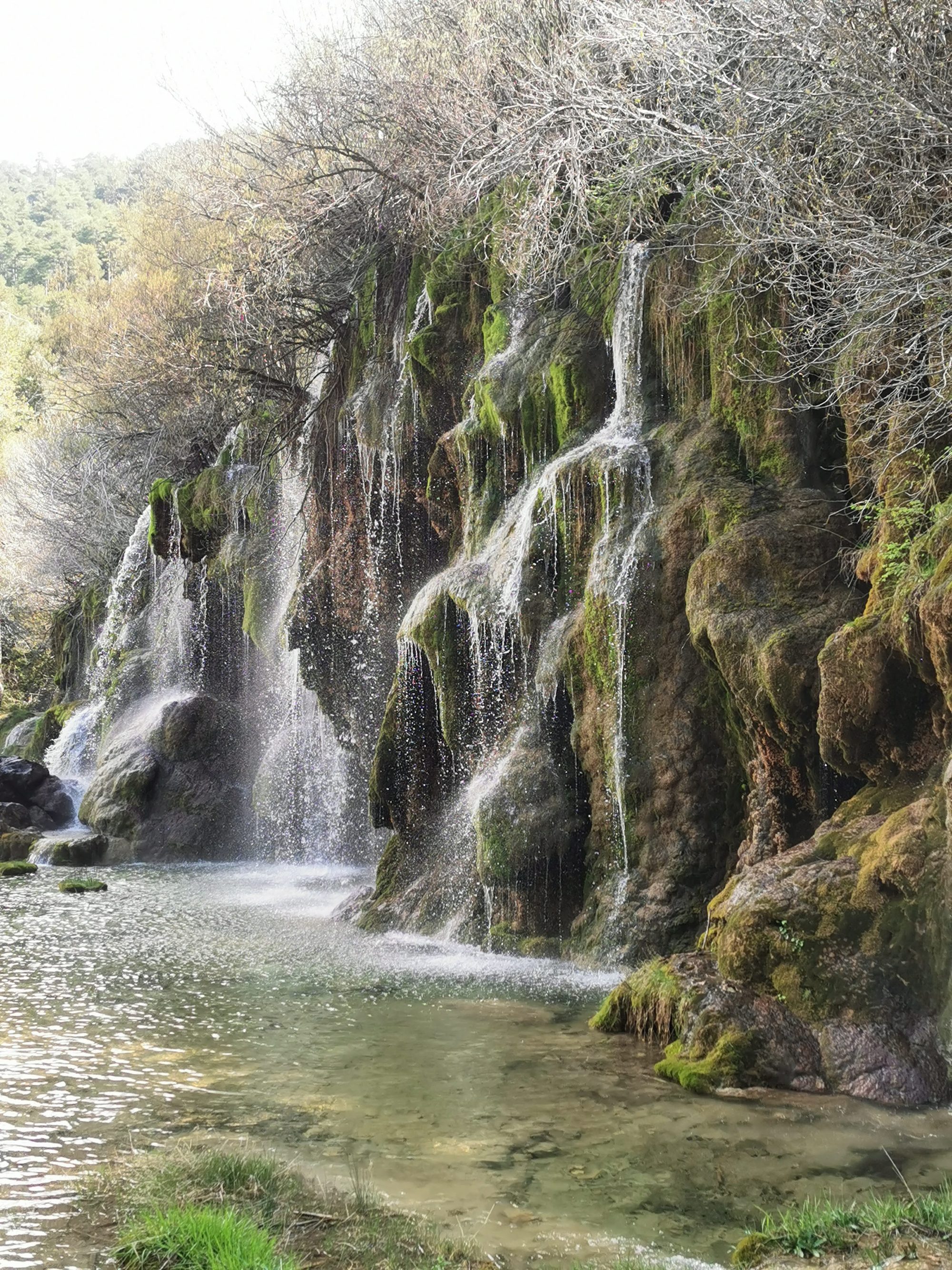 Cascada cayendo sobre formaciones rocosas cubiertas de musgo hacia una poza cristalina.