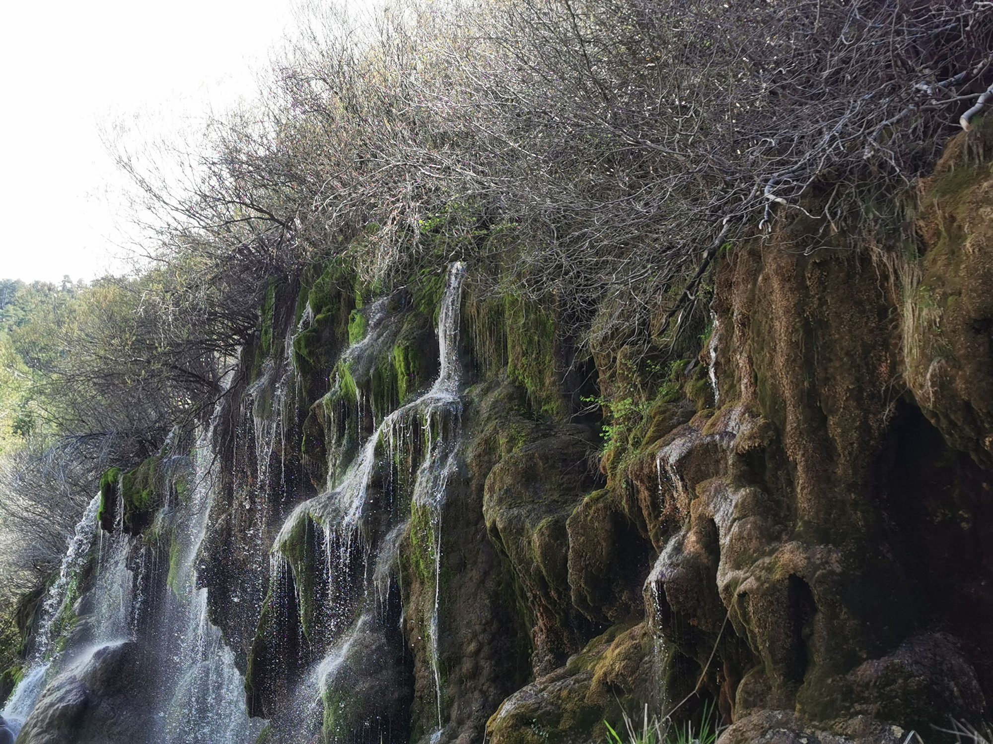 Cascadas de agua fluyendo sobre formaciones rocosas cubiertas de musgo y vegetación.