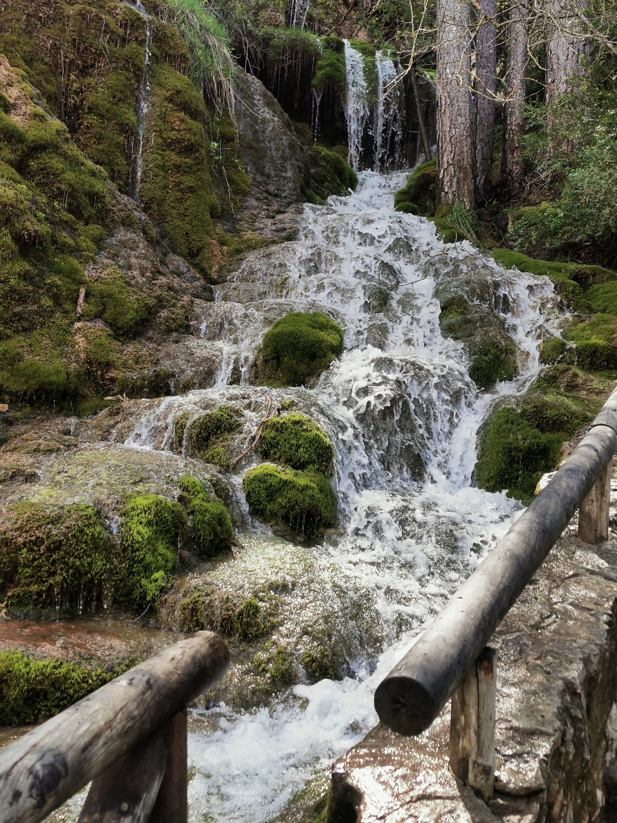 Cascada de agua cristalina fluyendo sobre rocas cubiertas de musgo en el bosque.