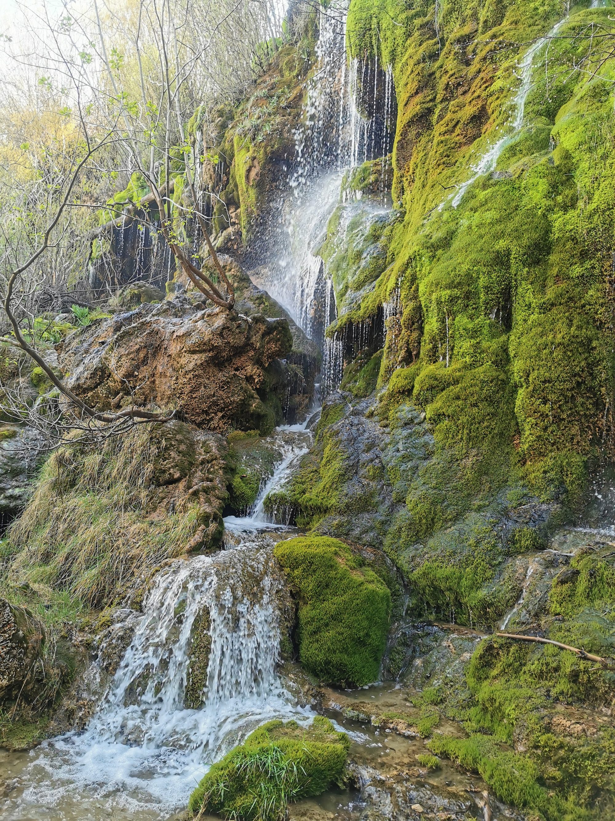 Cascada natural fluyendo sobre rocas cubiertas de abundante musgo verde.