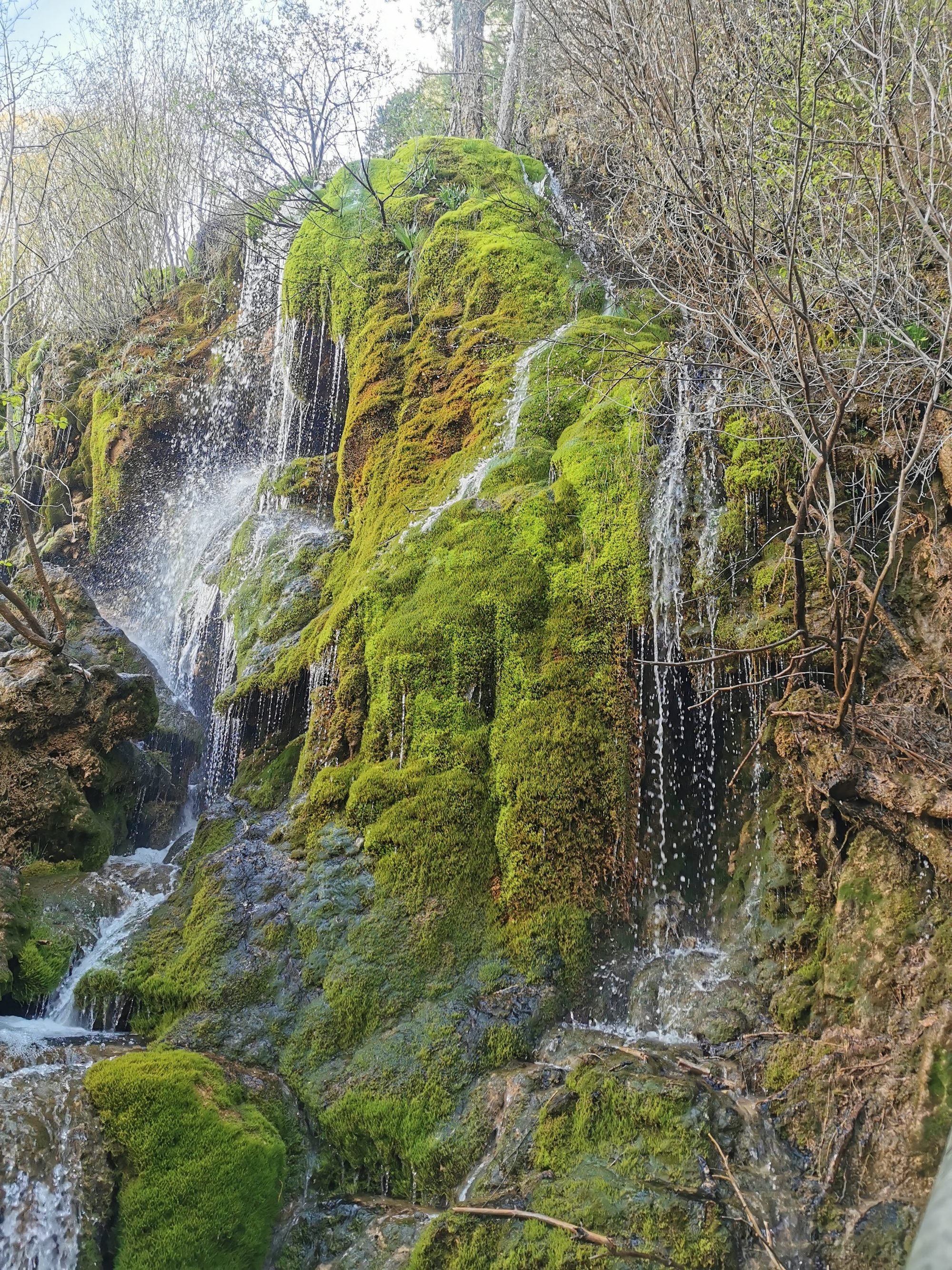 Cascada de agua fluyendo sobre rocas cubiertas de denso musgo verde en el bosque.