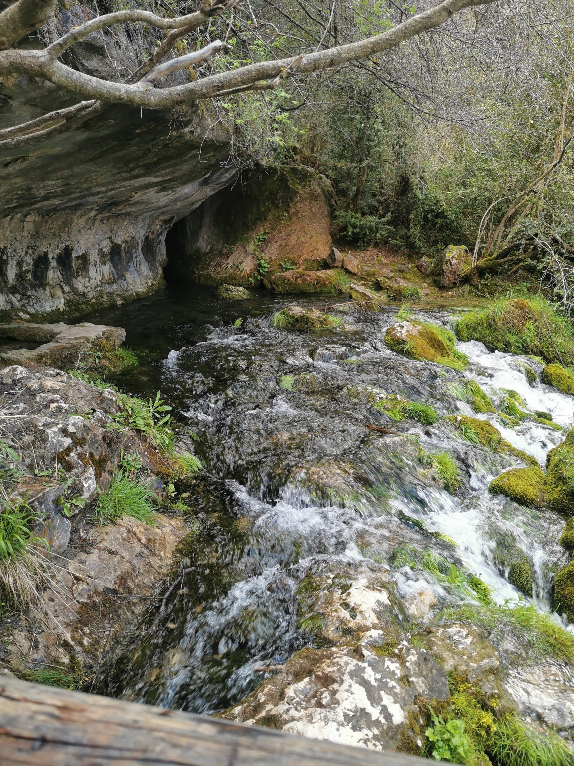 Arroyo de agua cristalina fluyendo desde una cueva entre rocas con musgo verde.