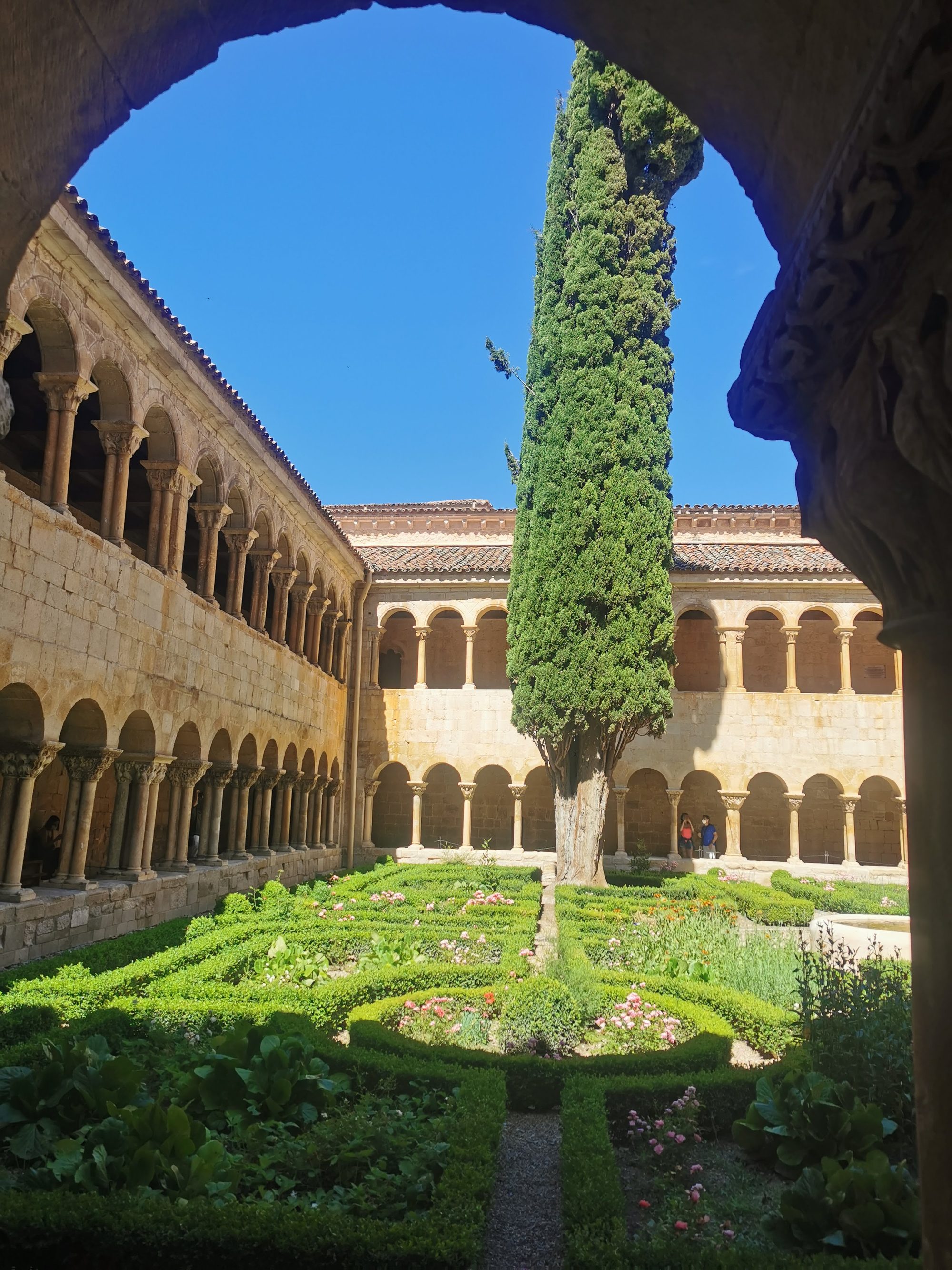 Claustro románico con un gran ciprés y jardines en Santo Domingo de Silos.