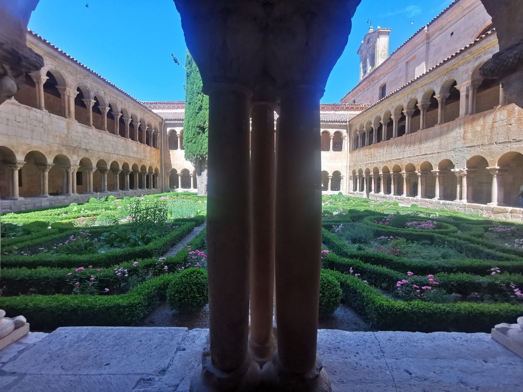 Claustro románico con jardín interior y ciprés enmarcado entre columnas de piedra.