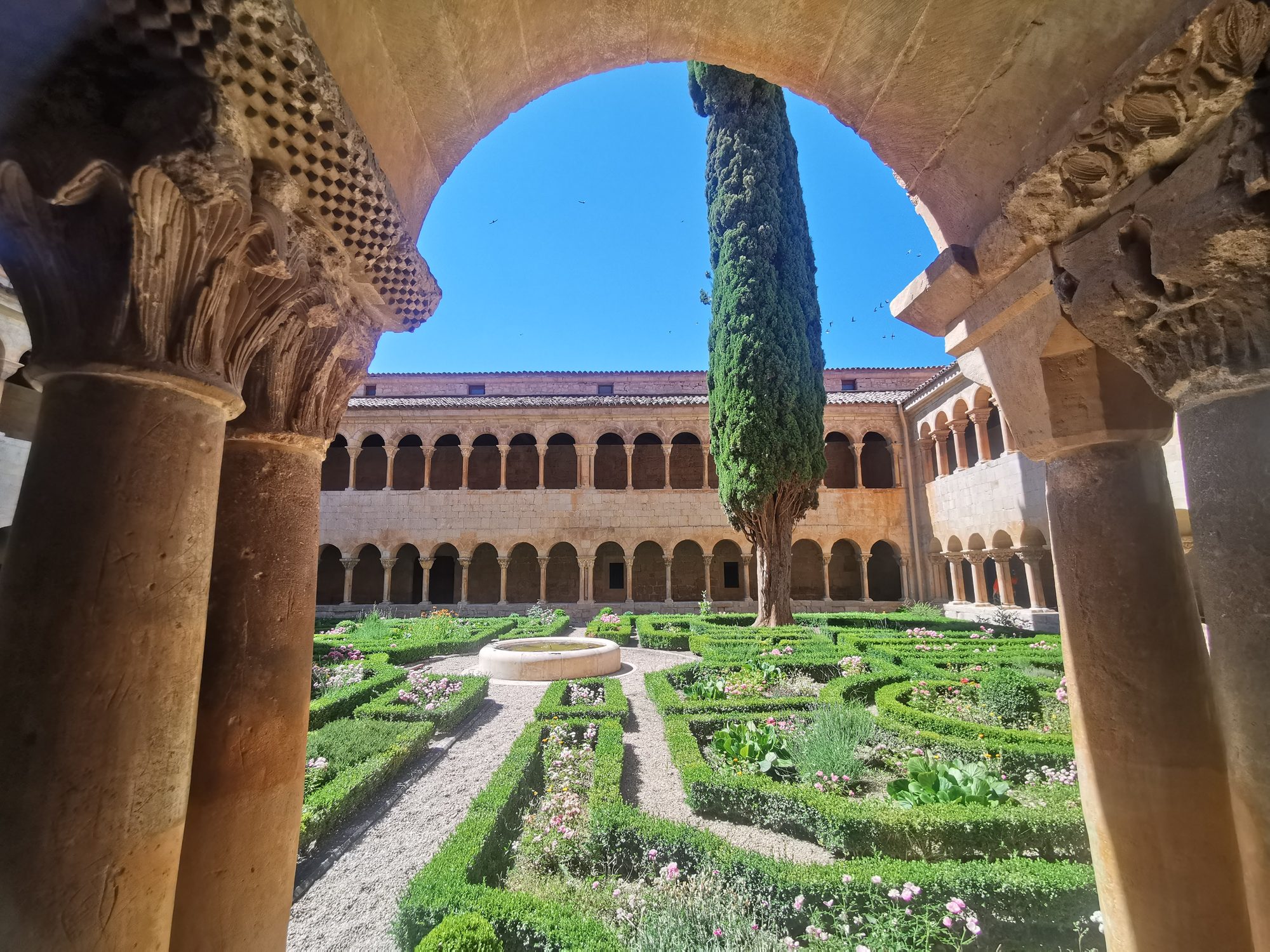 Claustro románico con jardín y un alto ciprés central enmarcado por arcos de piedra.
