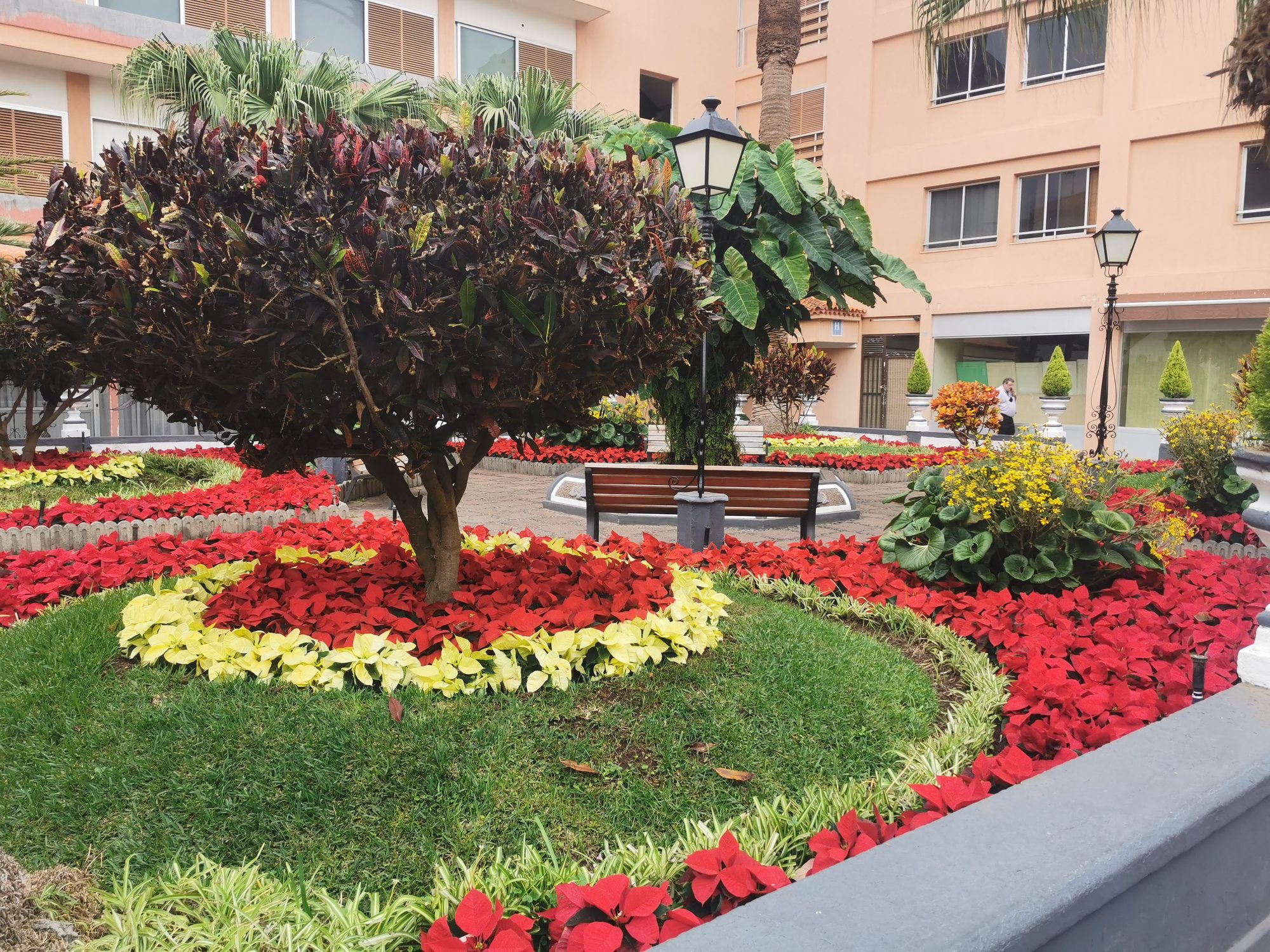 Plaza ajardinada con parterres de pascueros rojos y amarillos, arbustos y farolas clásicas.