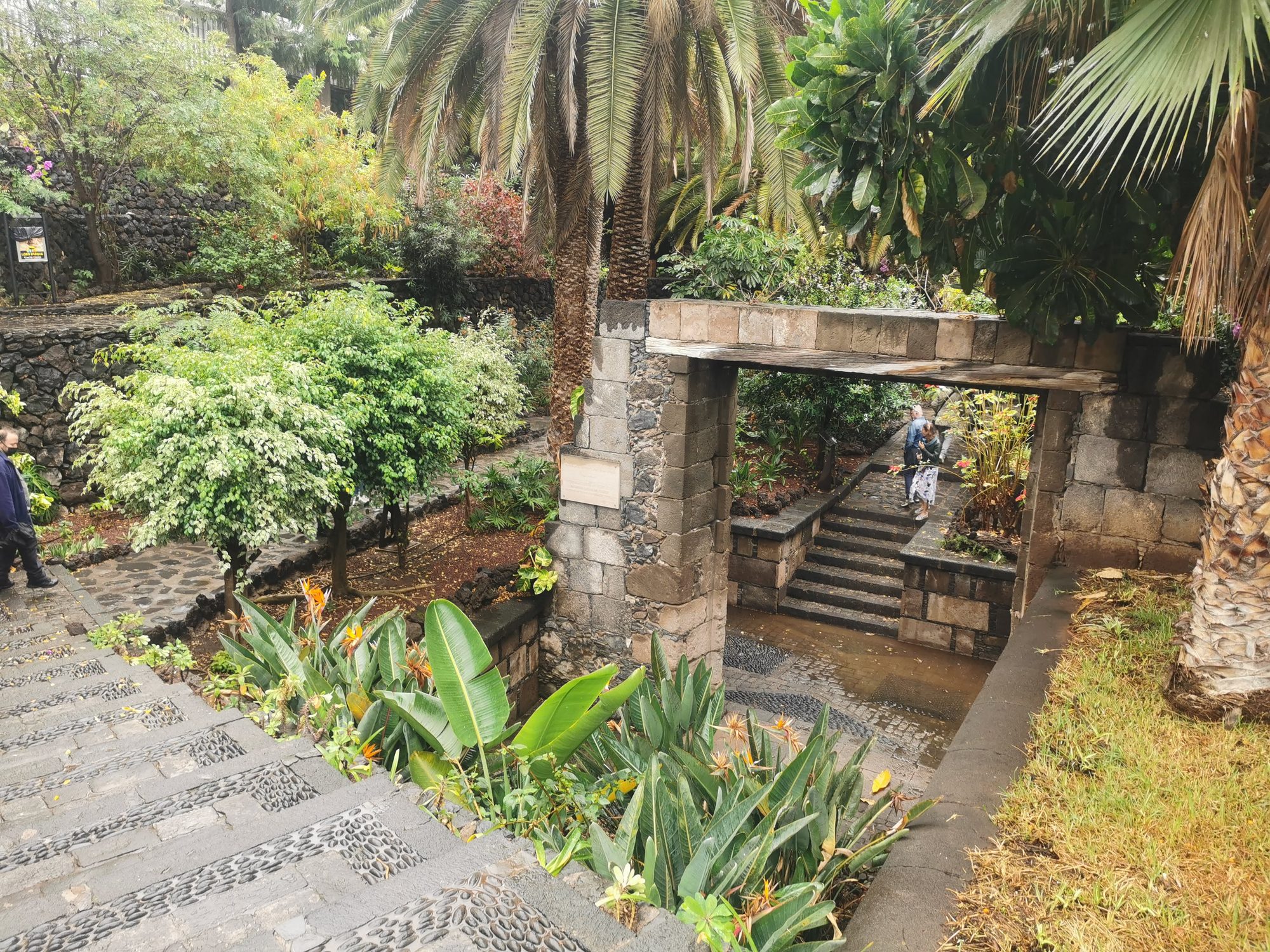 Arco de piedra histórico rodeado de palmeras, plantas tropicales y escaleras empedradas.