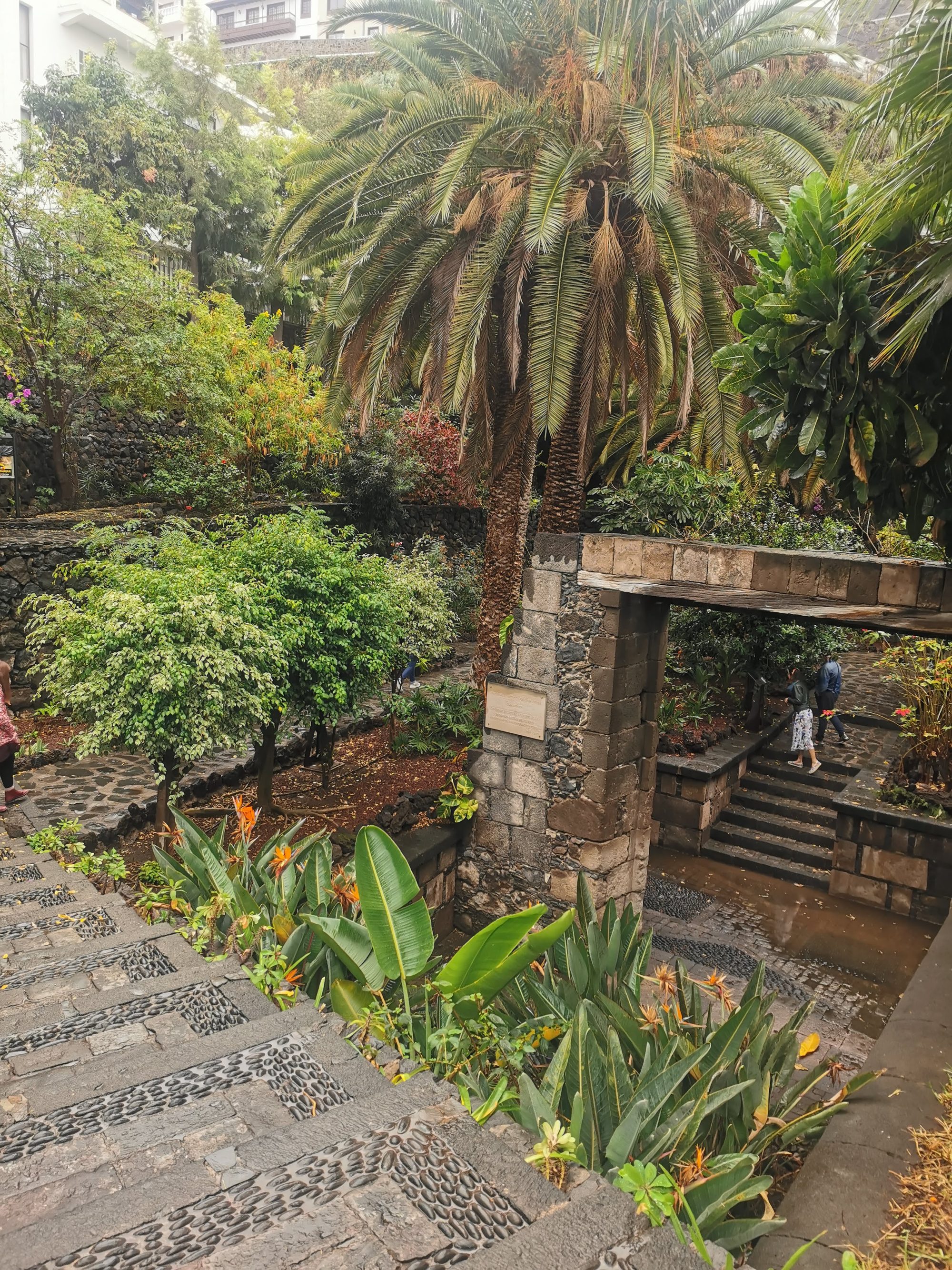 Jardín con escaleras empedradas, palmeras y arco histórico de la Puerta de Tierra
