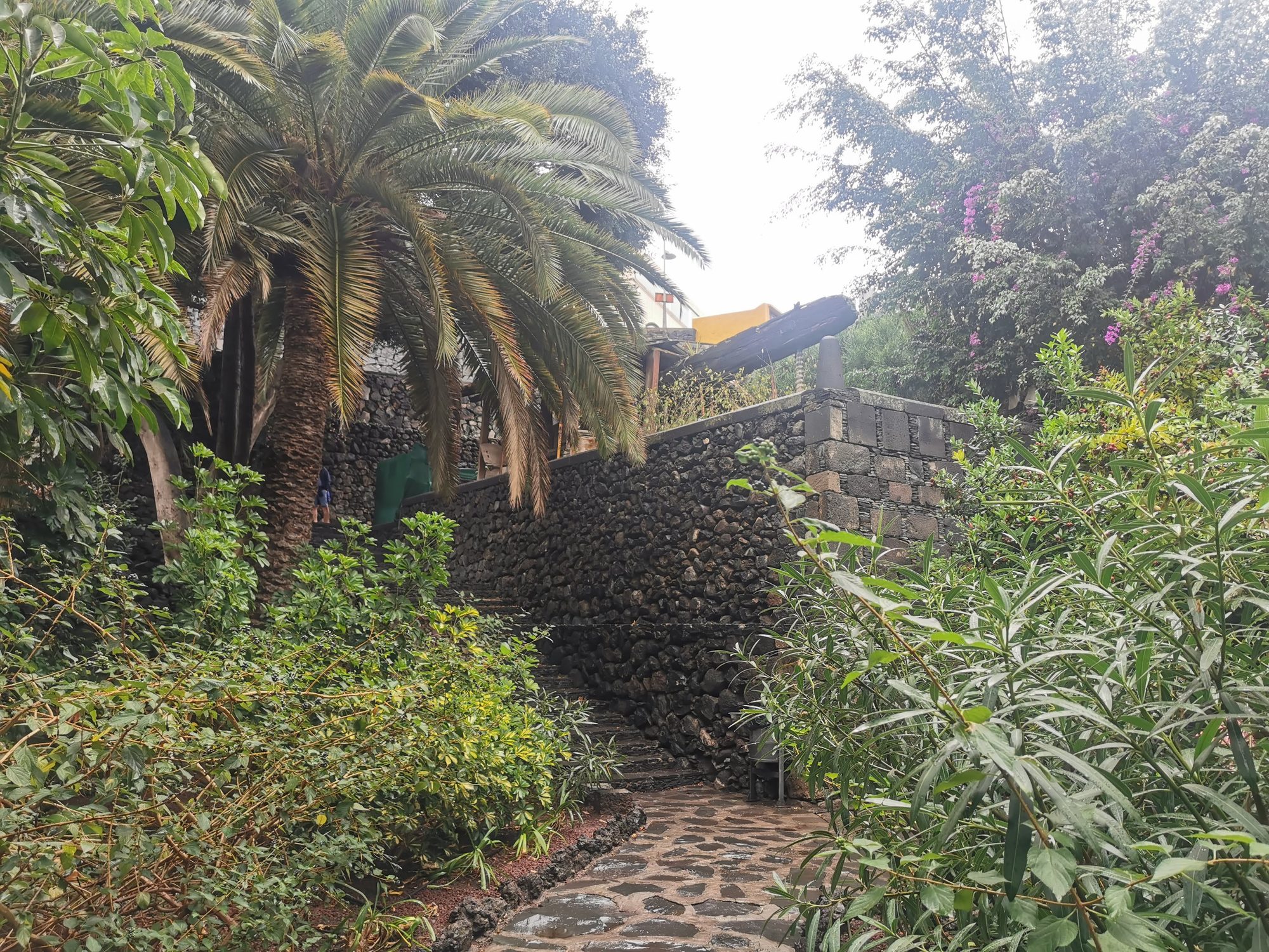 Sendero empedrado rodeado de palmeras y vegetación junto a un muro de piedra volcánica.