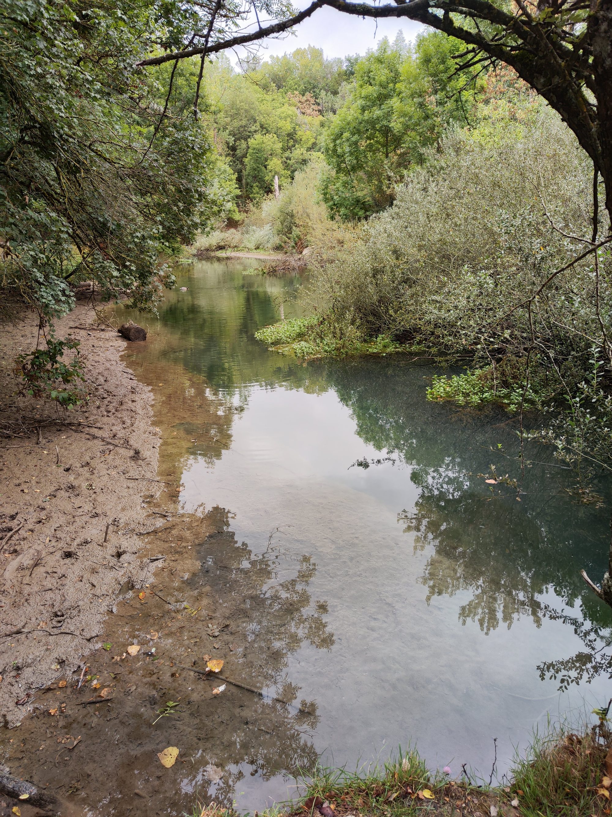 Río de aguas cristalinas y tranquilas rodeado por un frondoso bosque de ribera.